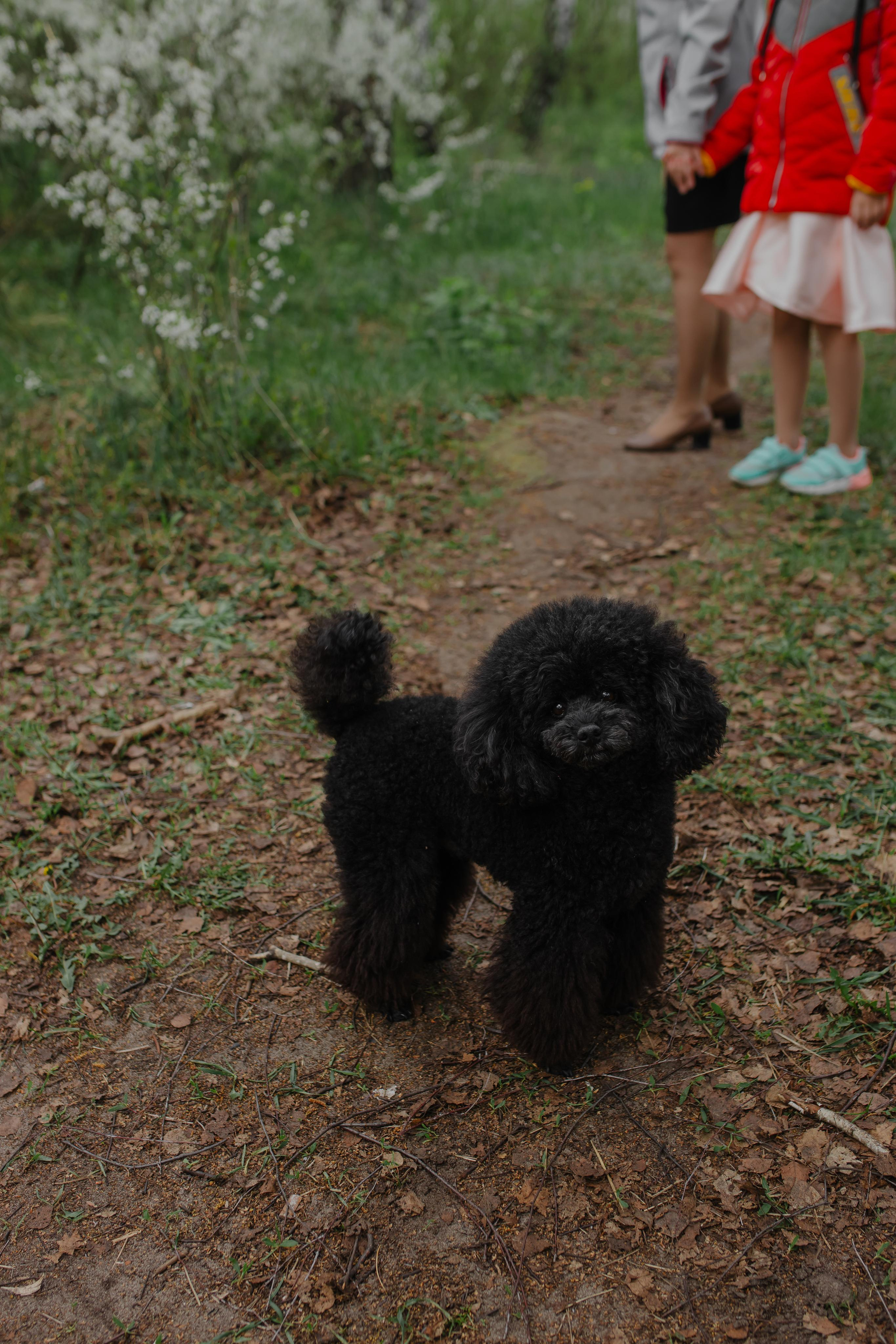 30.04.2022 Алёна и Антон. Kulneva Valeria
