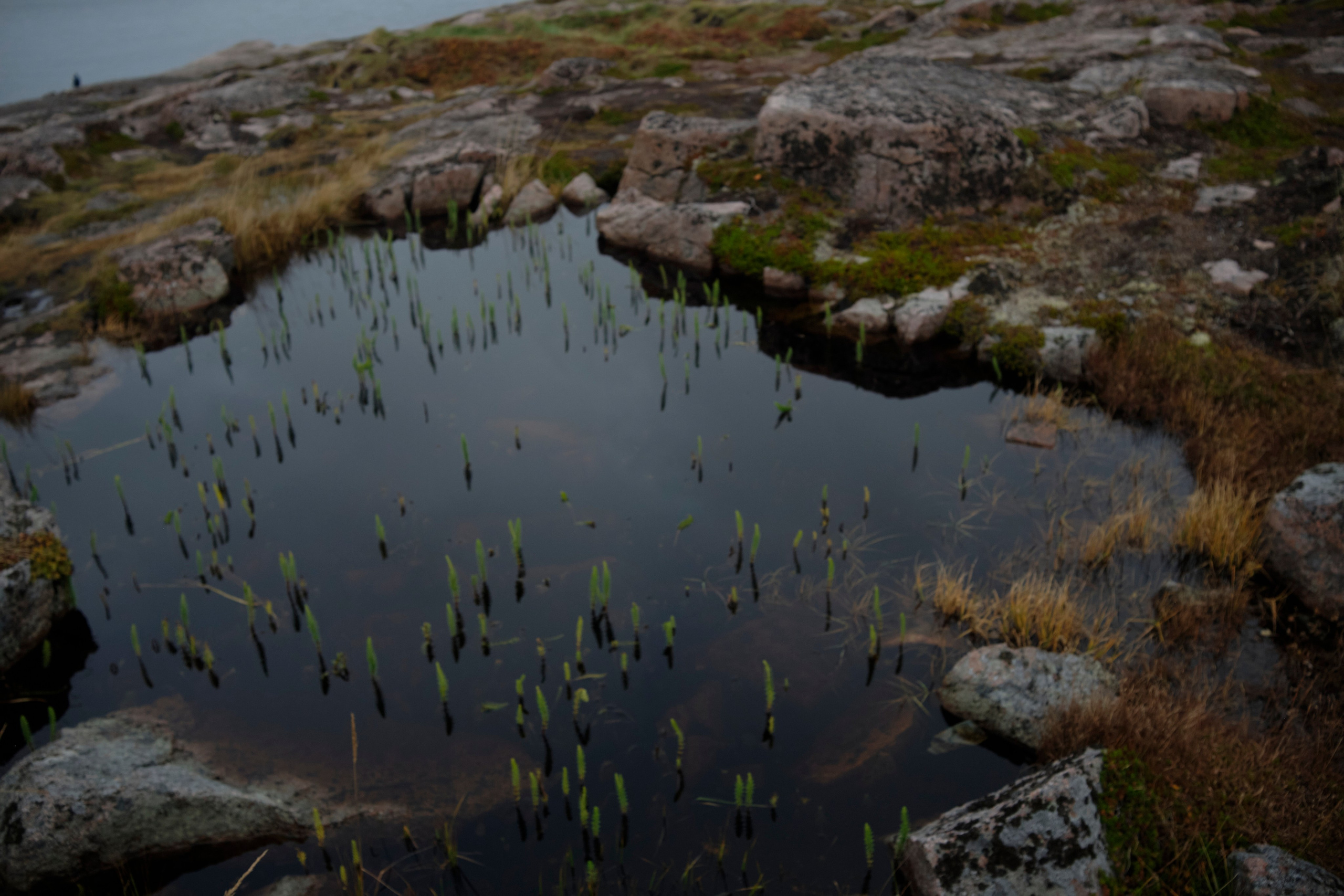 Путешествие в Териберку. Елена Павленко. Фотограф. Москва