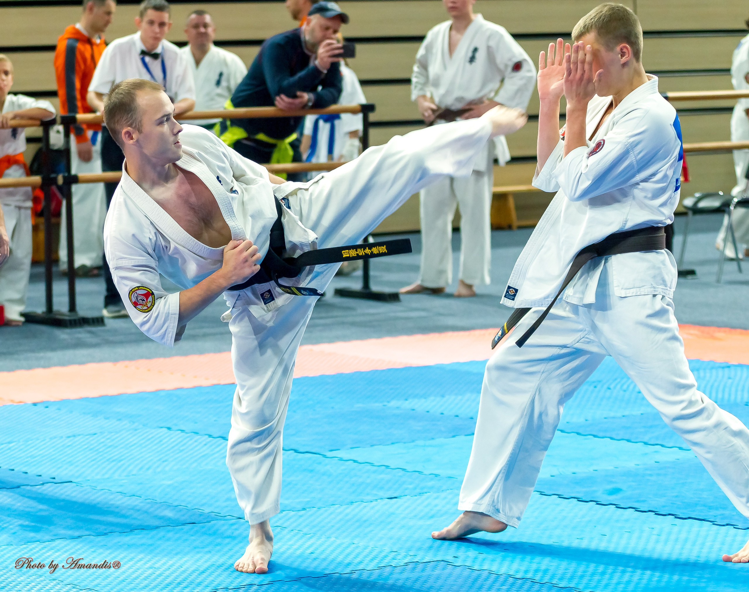 Первенство Московской области по Киокушин в СК «Жаворонки». Репортажная съемка в Москве и области. Анималистика