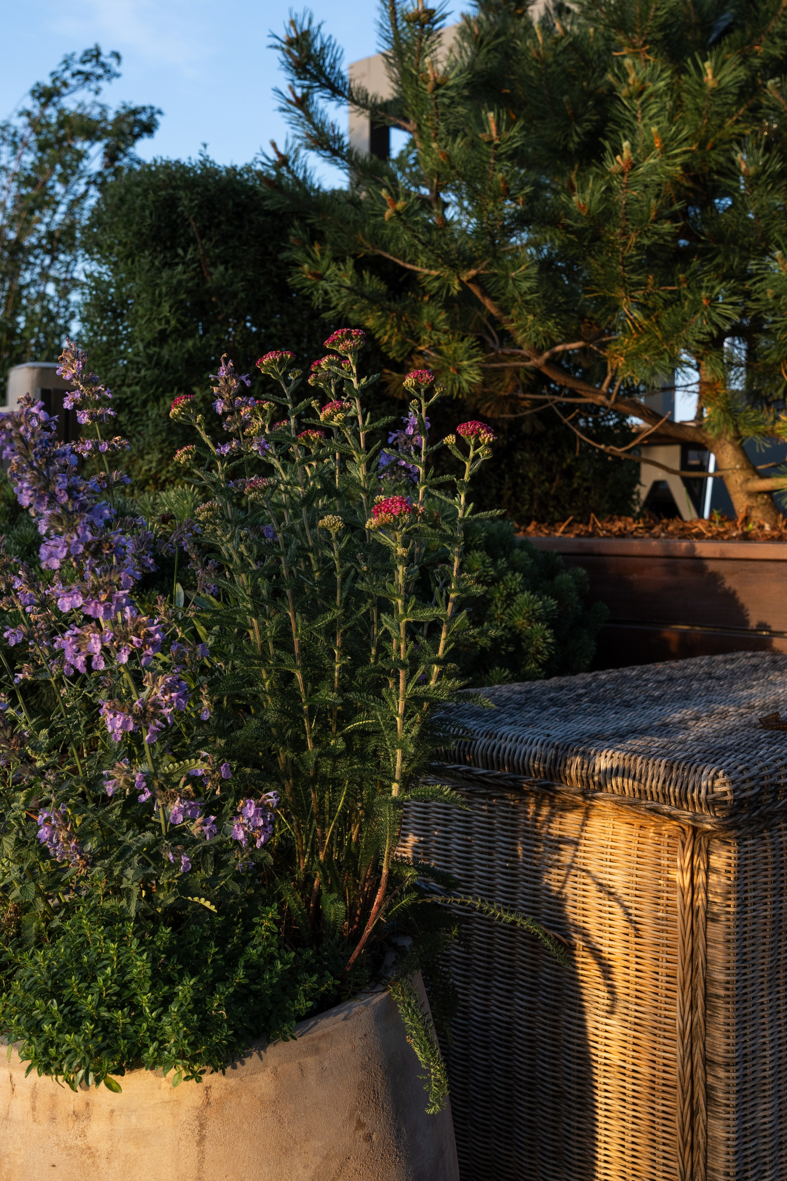 Brusnika office terrace, Moscow. Артамонов Александр | Архитектурный и ландшафтный фотограф