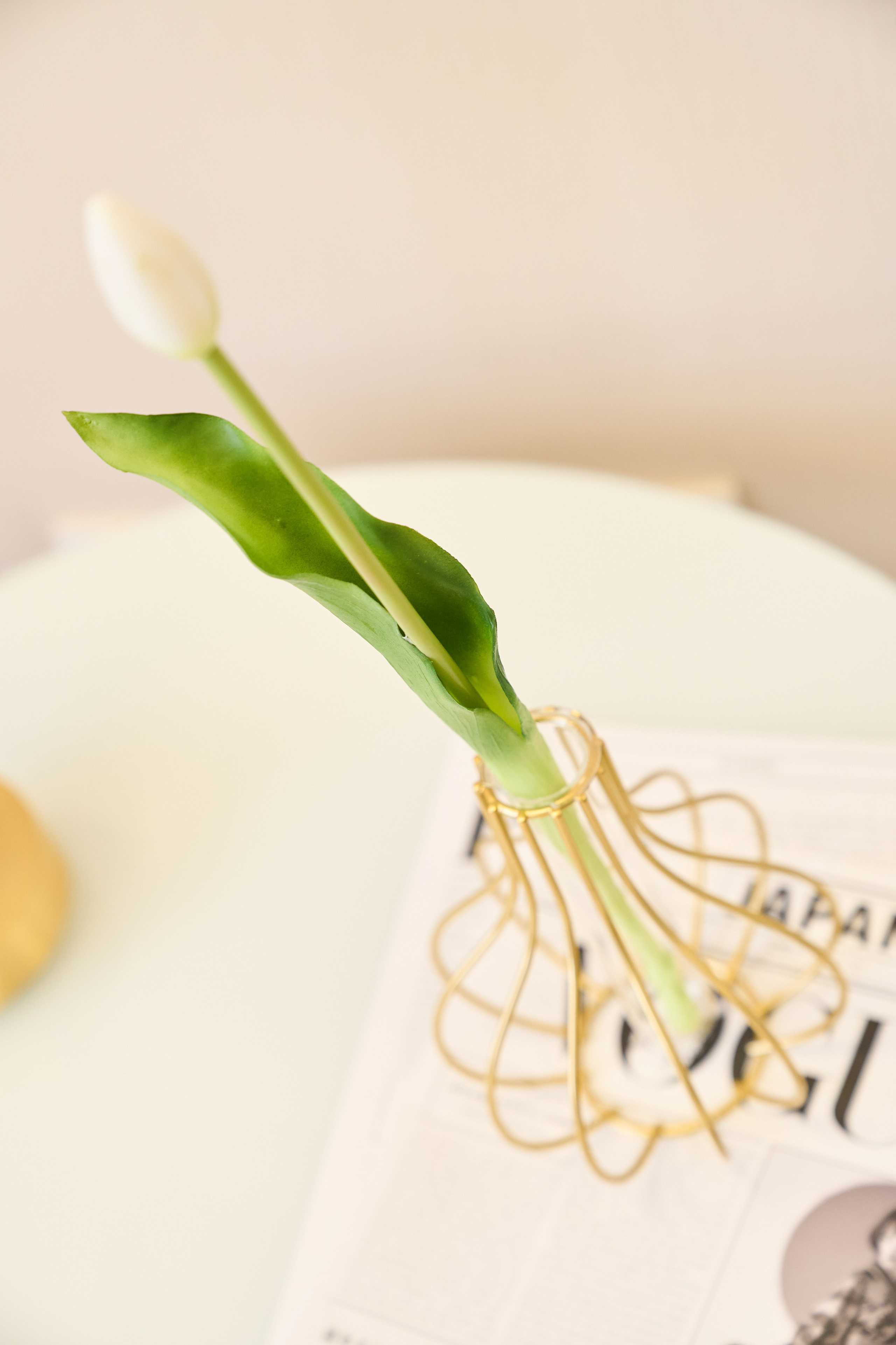 МК по бенто тортам. Фотограф в Донецке Юлия Петрушевская