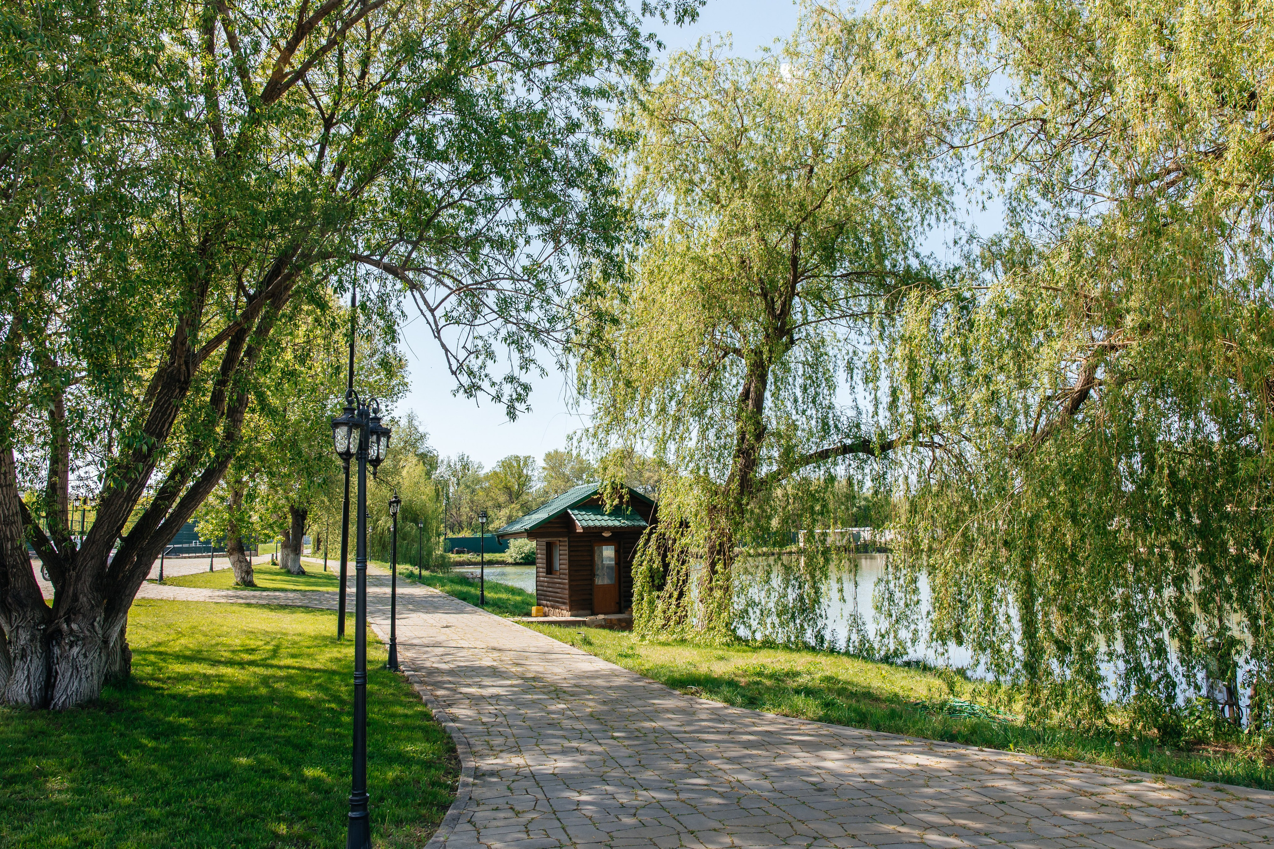 Резиденция, Завтрак с Шефом. Самый свадебный фотограф