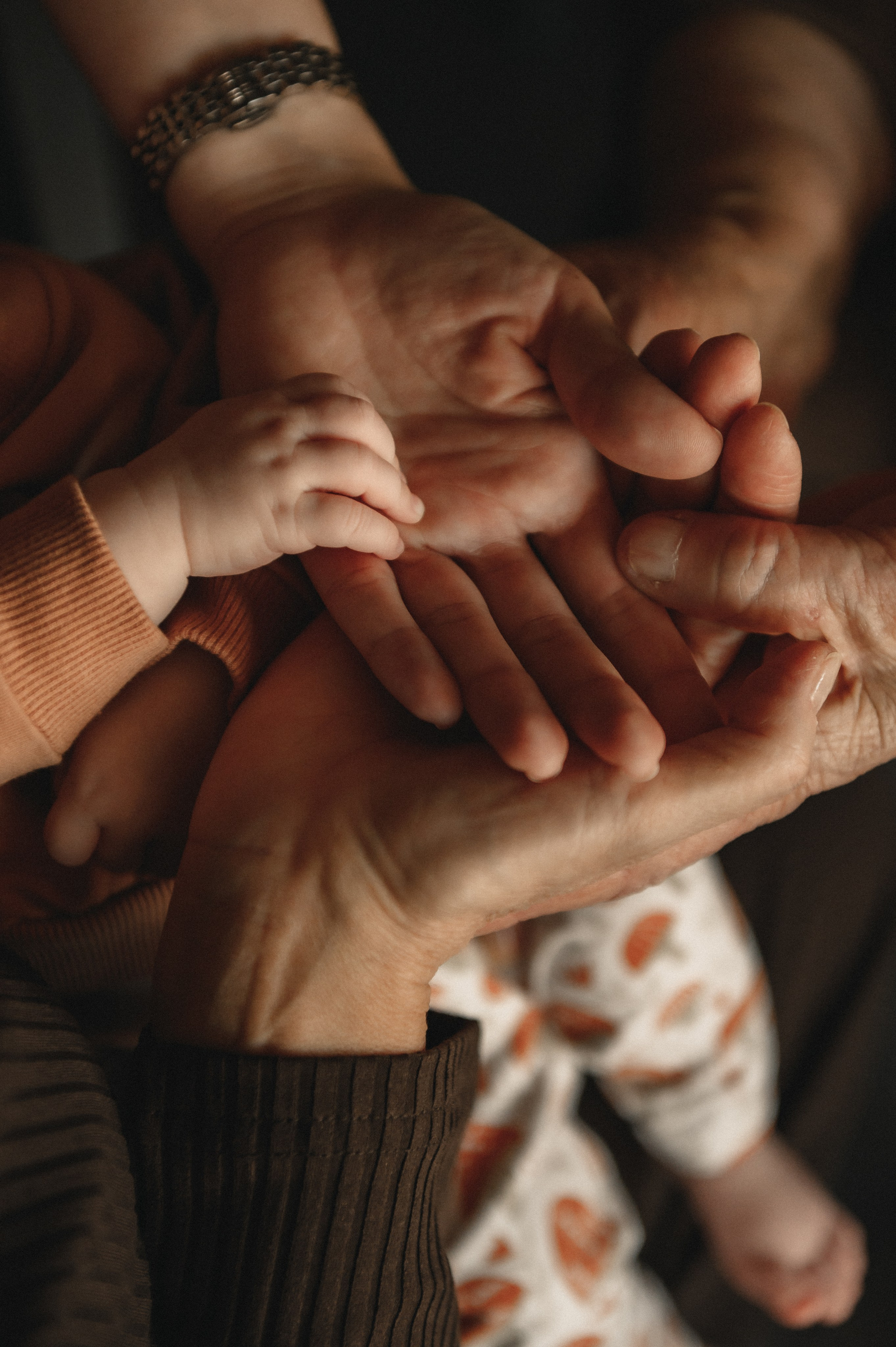 Домашняя съёмка «ПОКОЛЕНИЕ». Семейный фотограф в г. Ставрополь, Сорокина Мария