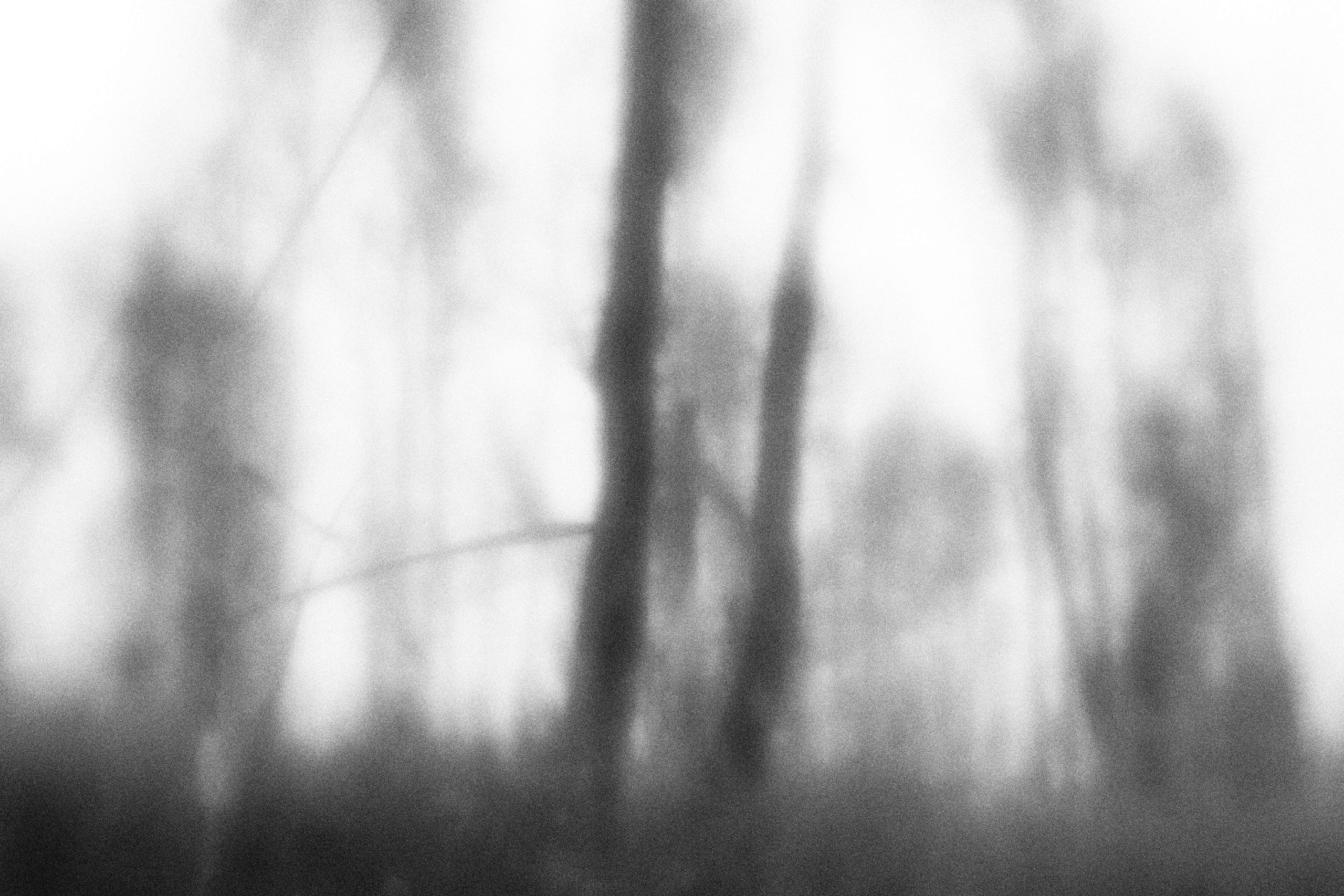 Внутривенные сны (2023)