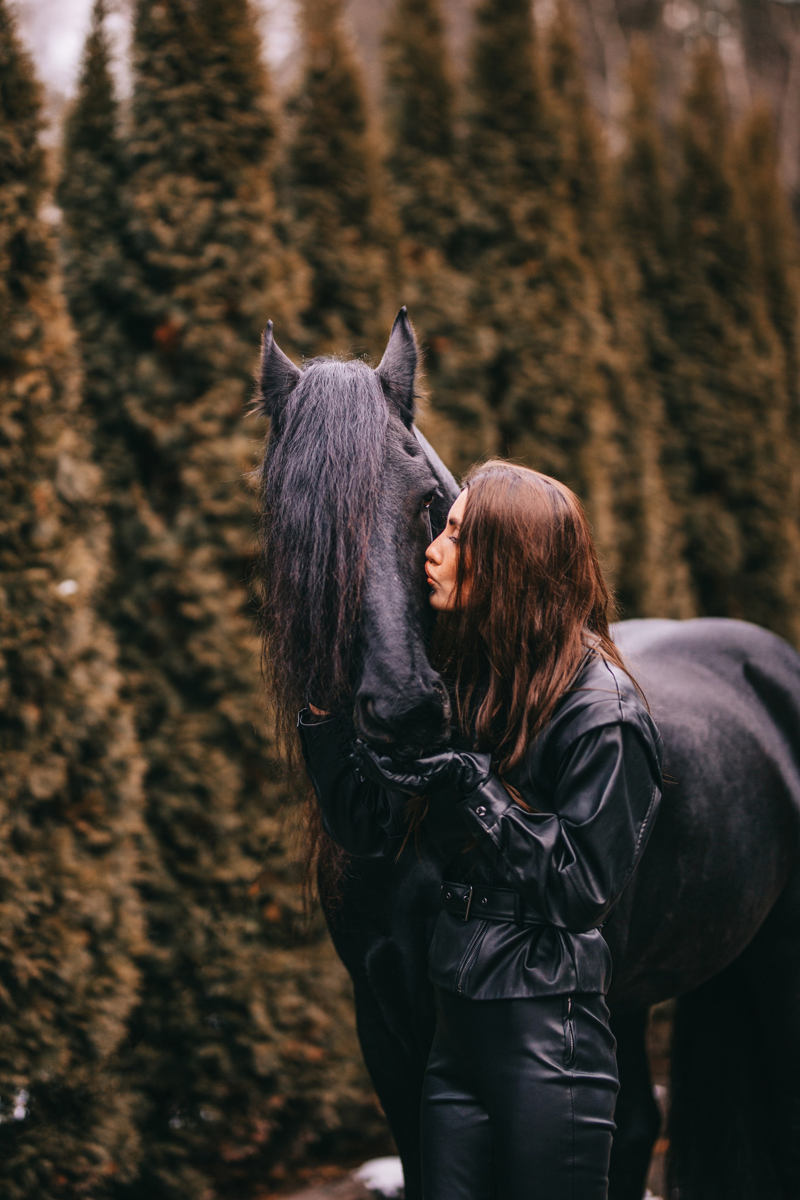 Девушка и лошадь как Кендал Дженнер
