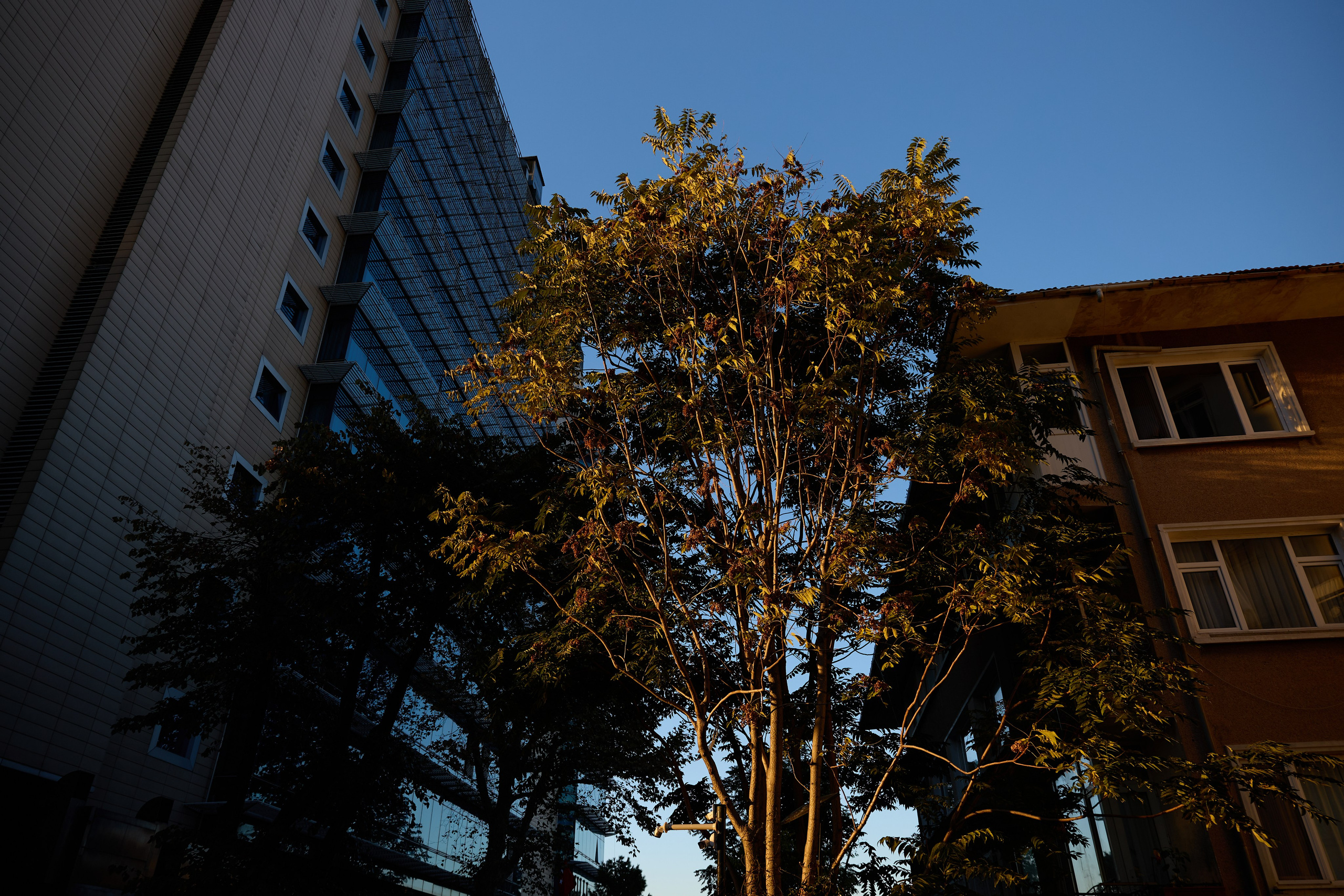 Стамбул 24. Фотограф Москва, Дима Пеллер