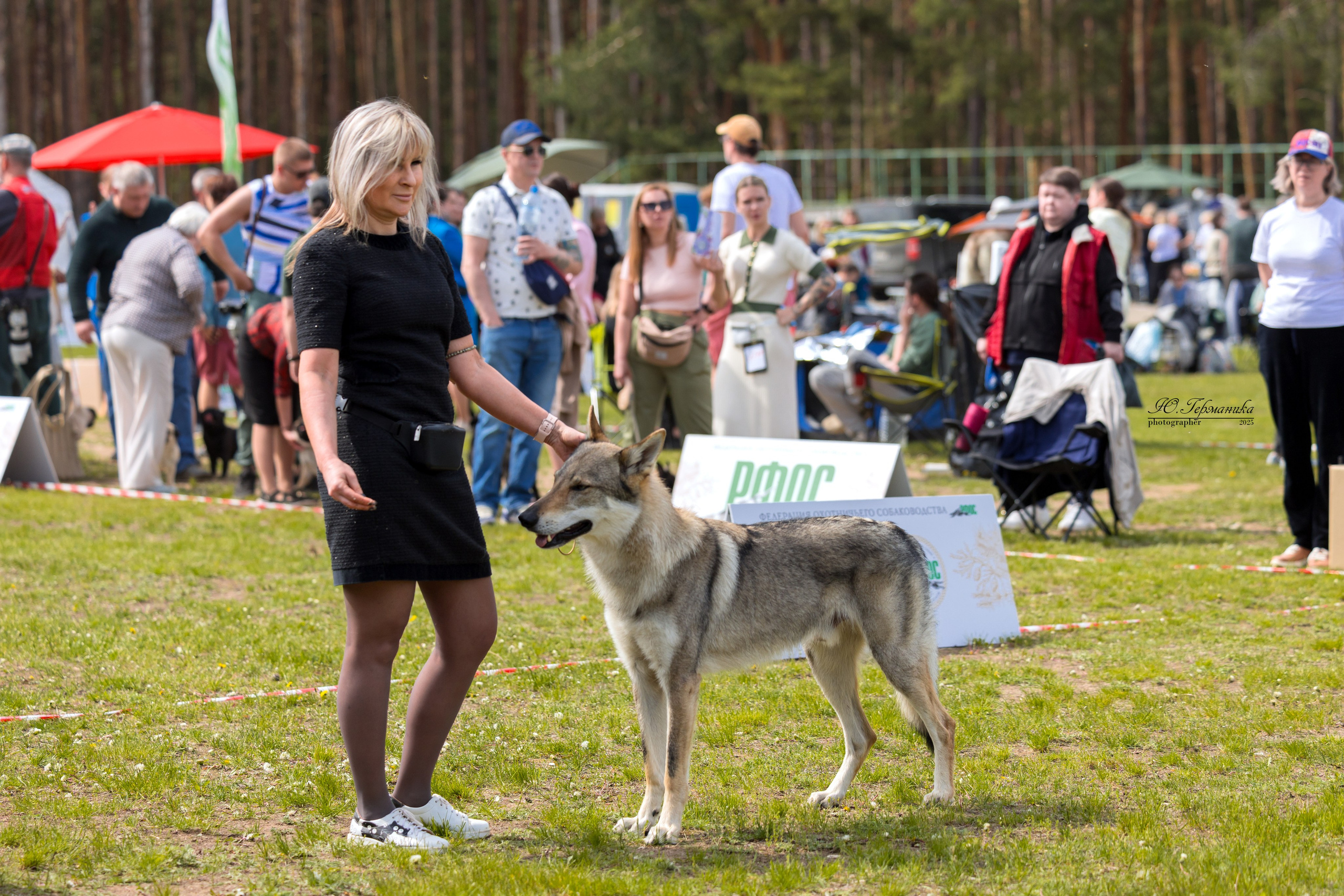 Суздаль(Владимир)17-18.05.2025. Фотограф-анималист Юлия Германика