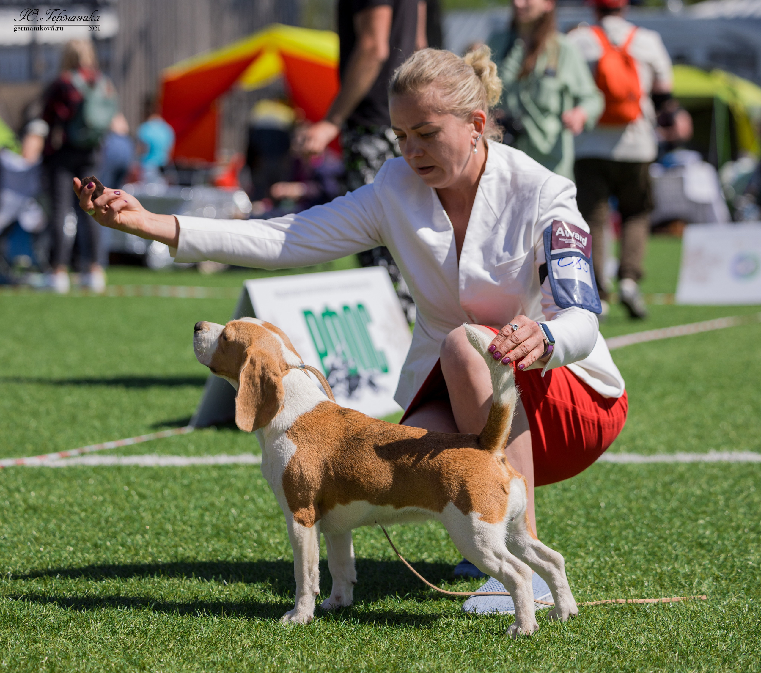 Суздаль 18-19.05.2024. Фотограф-анималист Юлия Германика