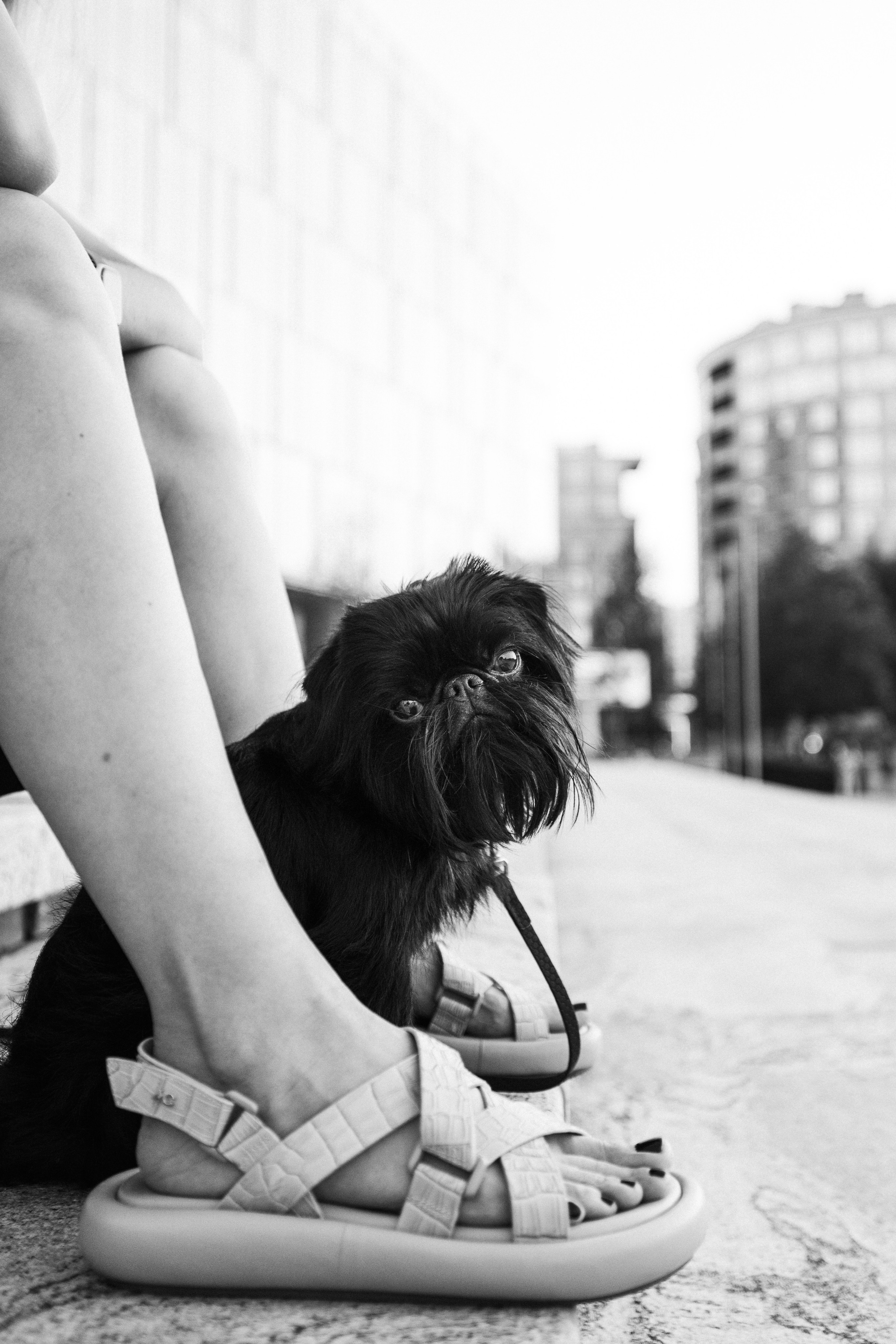 Ася и Кузя. Фотограф анималист Осипчикова Мария