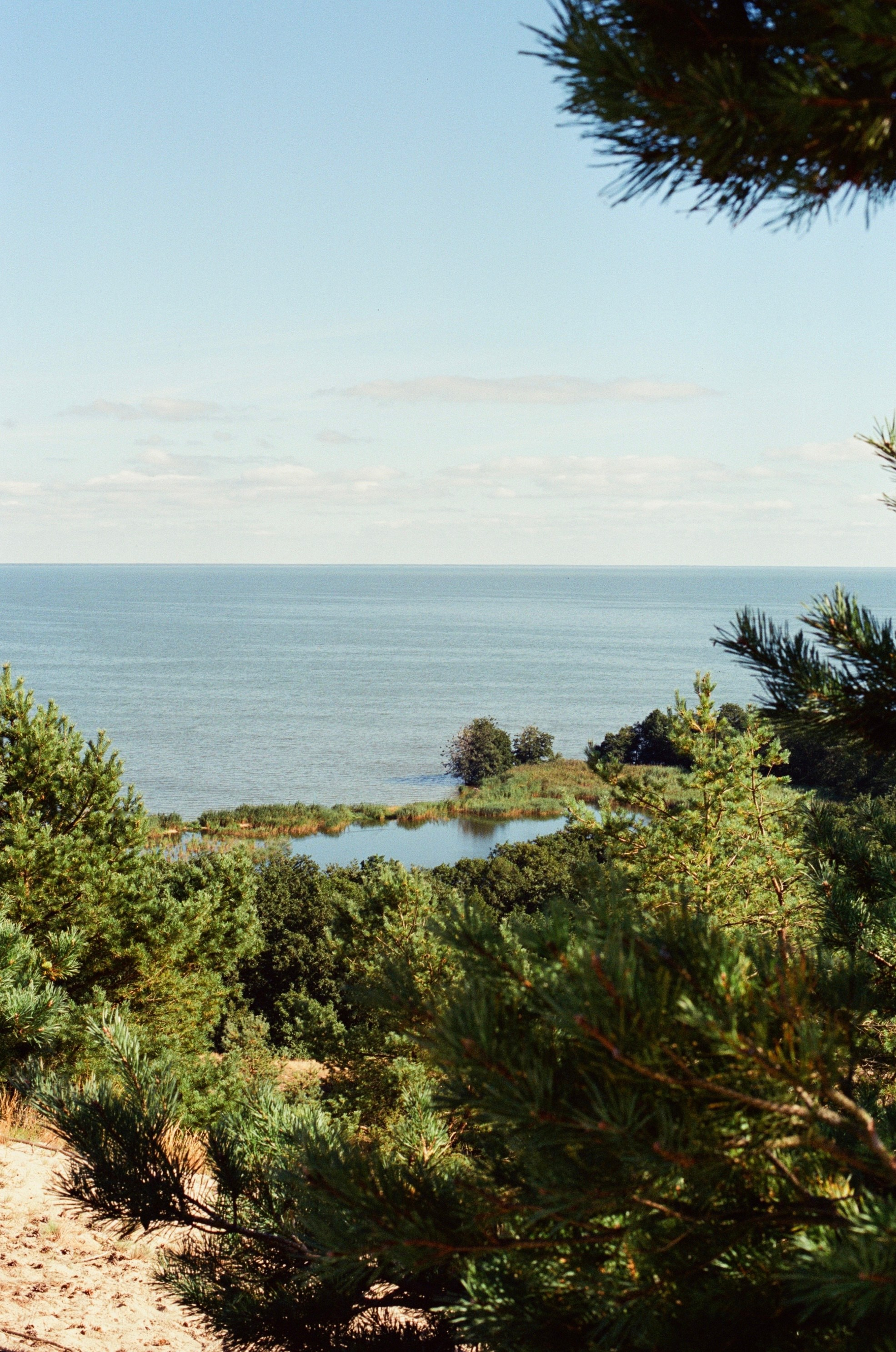 Плёнка🎞️. Фотограф в Москве Ксюшенька