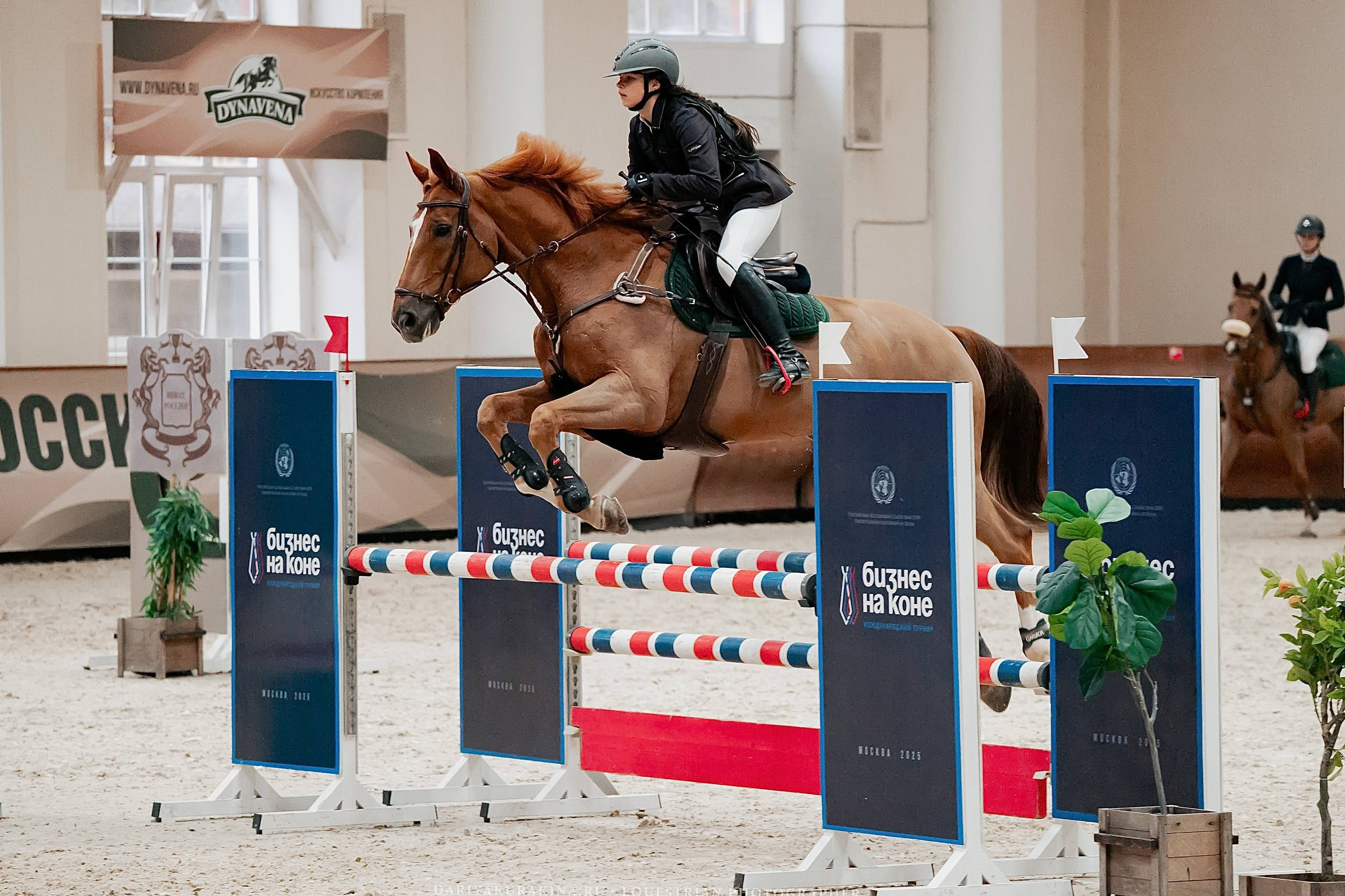 КУБОК ВУЗОВ. ФИНАЛ — КСК «ВИВАТ, РОССИЯ!». Куракина Дарья • Конный фотограф