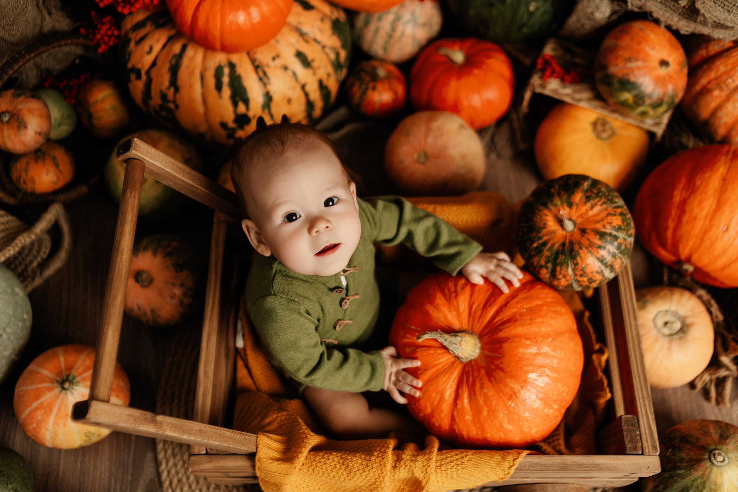 Фотопроекты. Фотограф новорождённых семейный фотограф Томск Елена Каплина