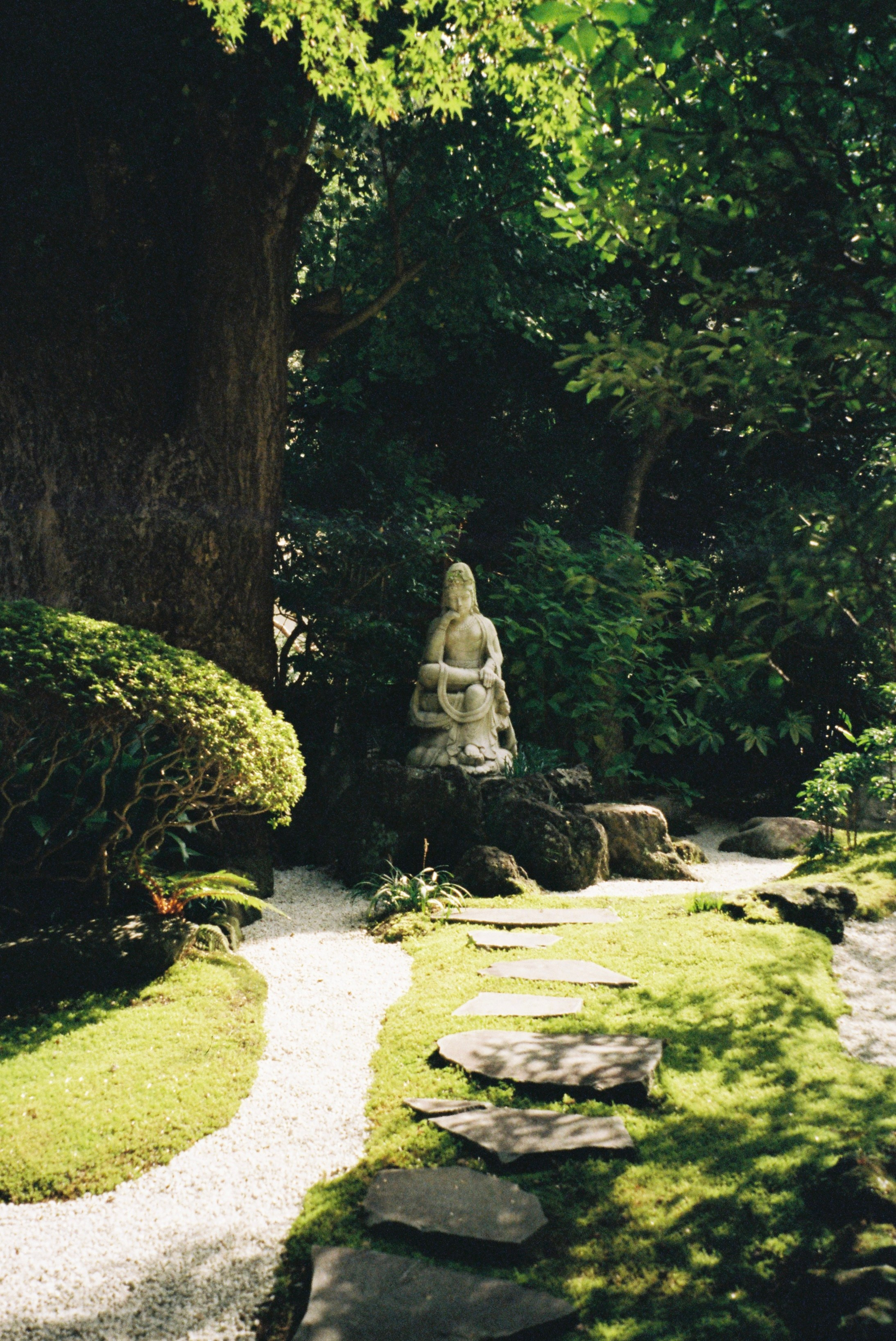 Пленка. Фотограф Алина Диева Москва | Токио