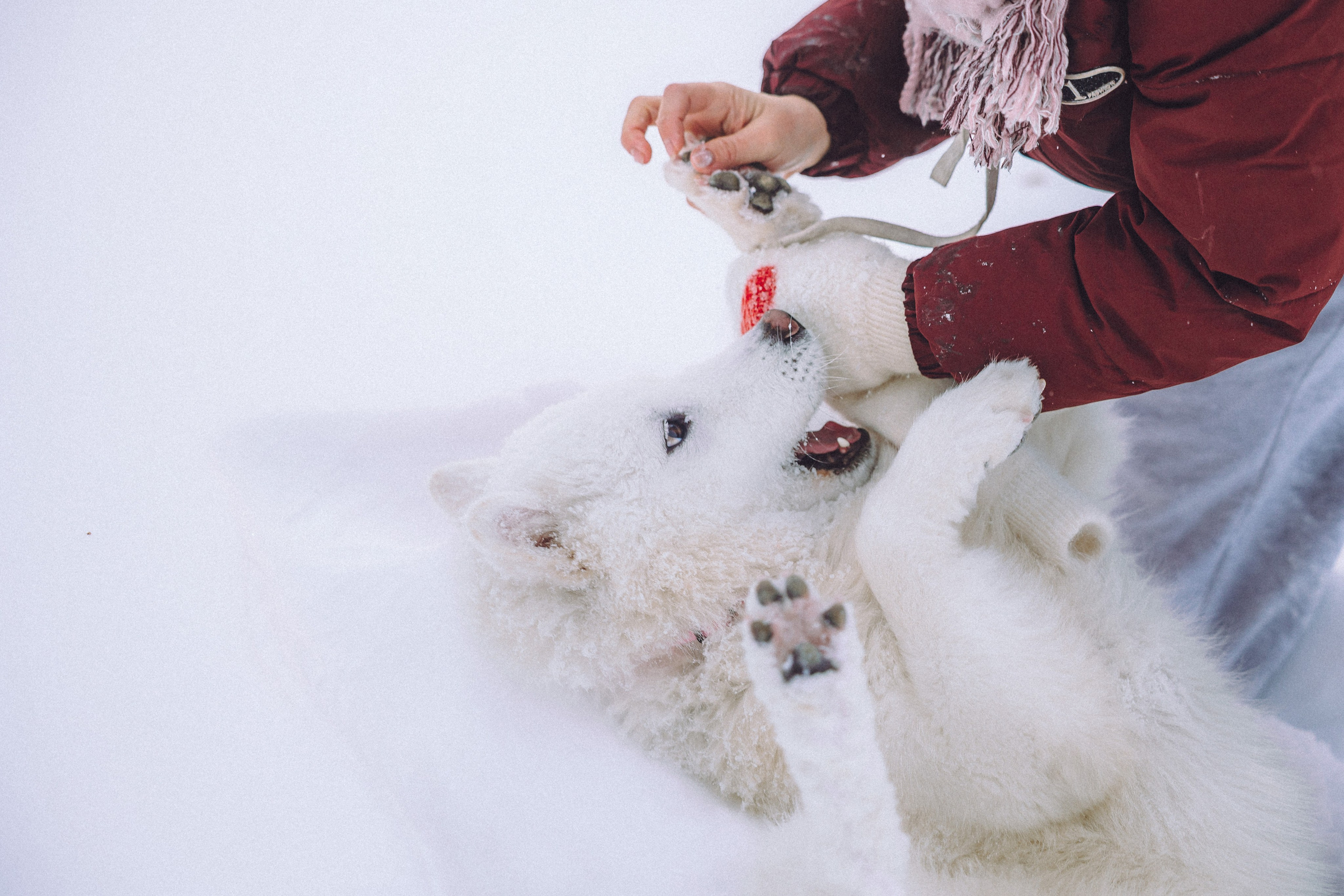 Мария и Мася