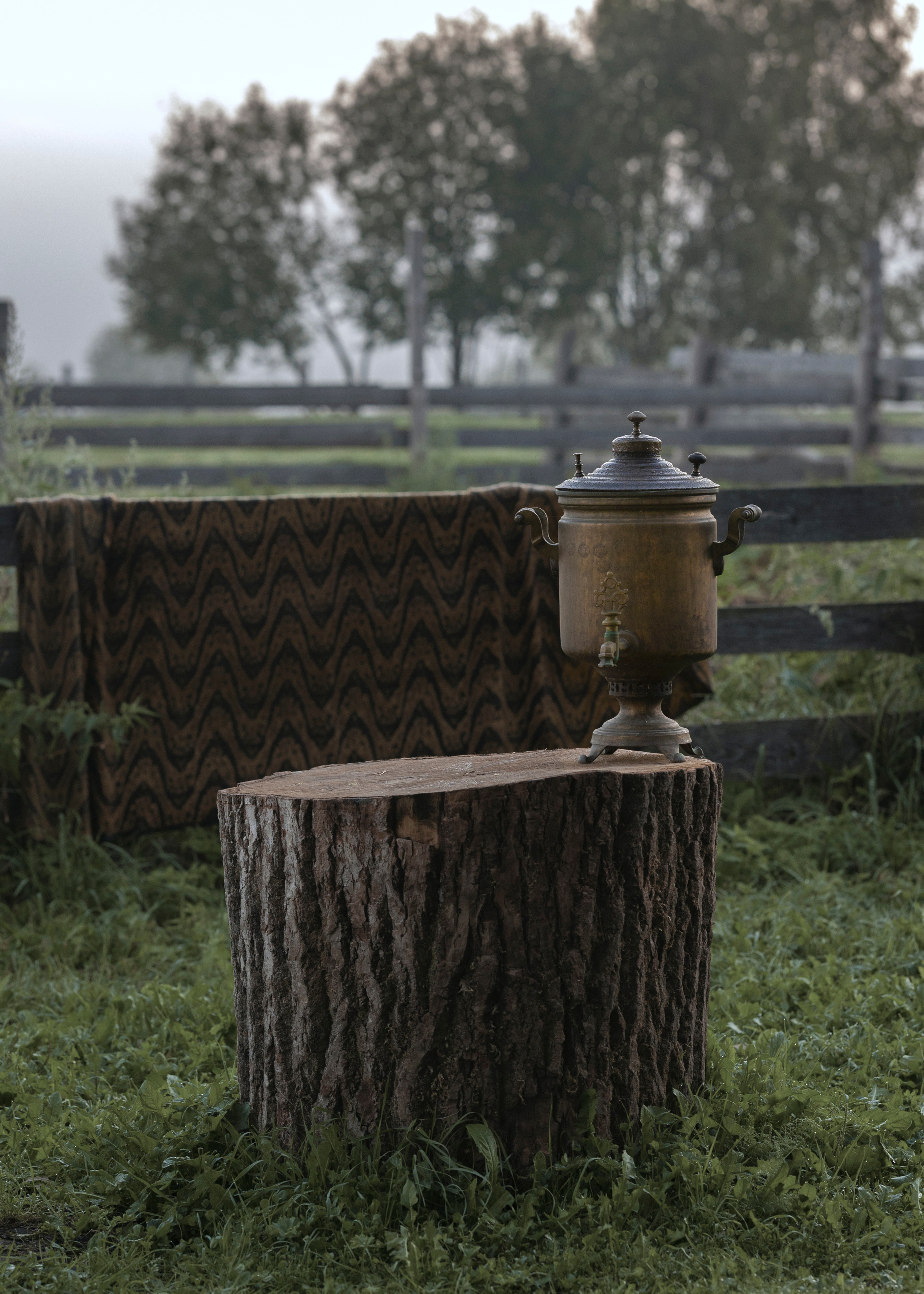 д. Кузнецово, Ярославская область, 17.08.2023