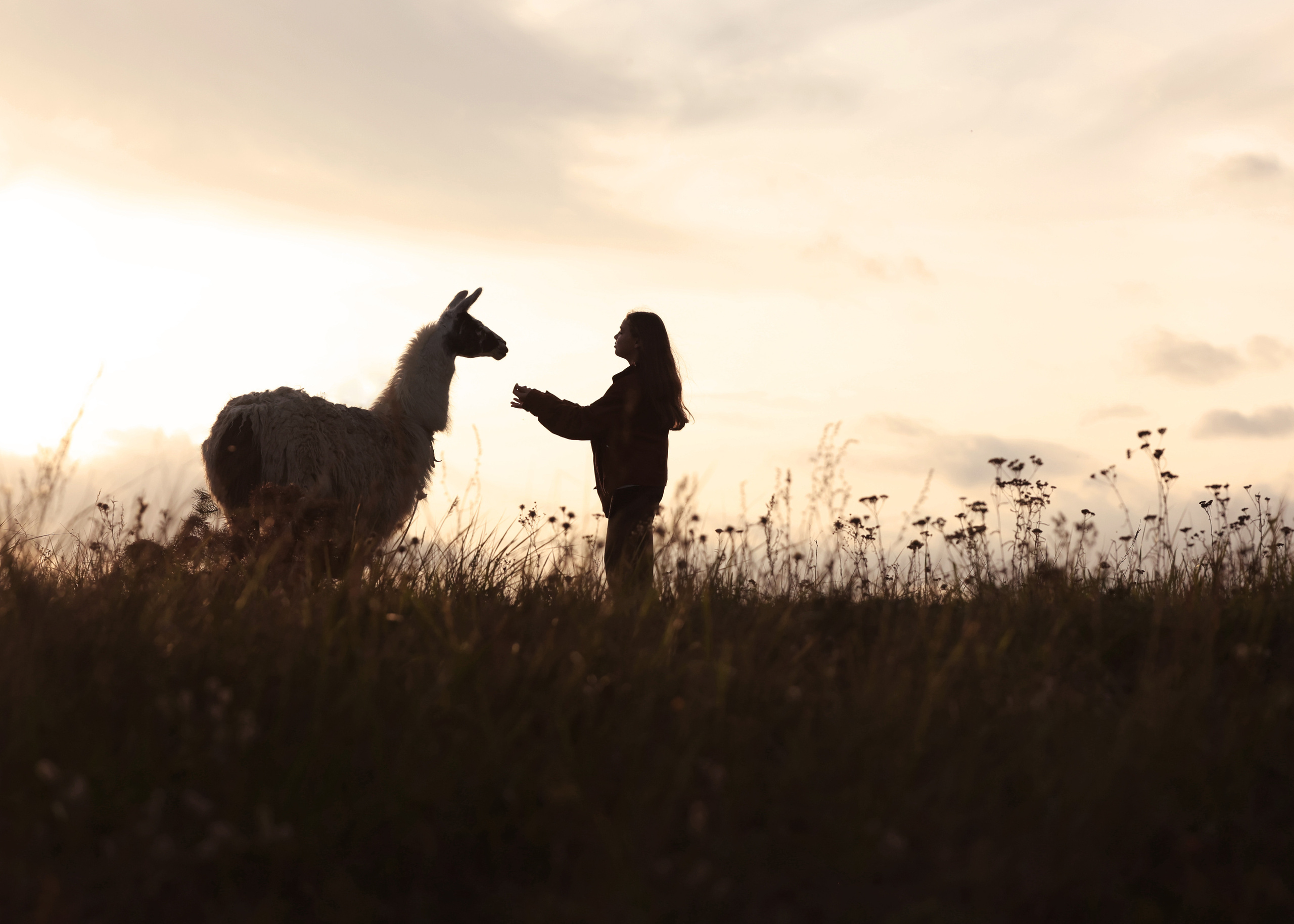 Главная. «Книжка с картинками» Фотограф Наталья Цыбина