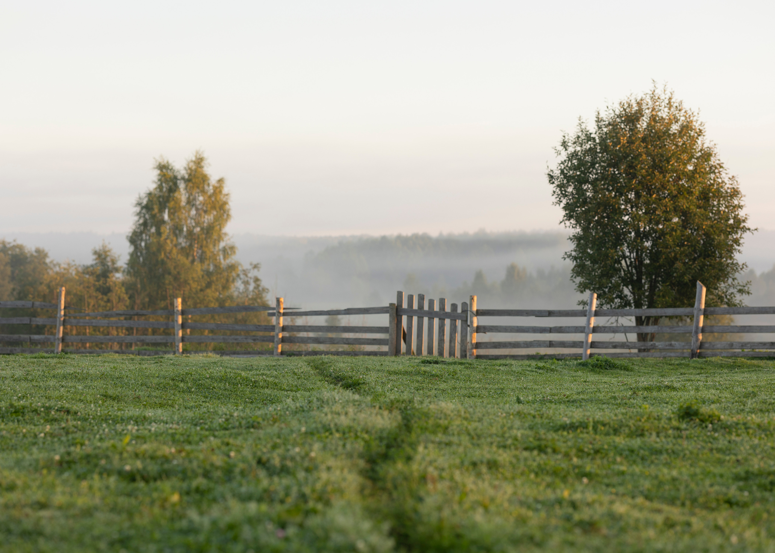 д. Кузнецово, Ярославская область, 17.08.2023