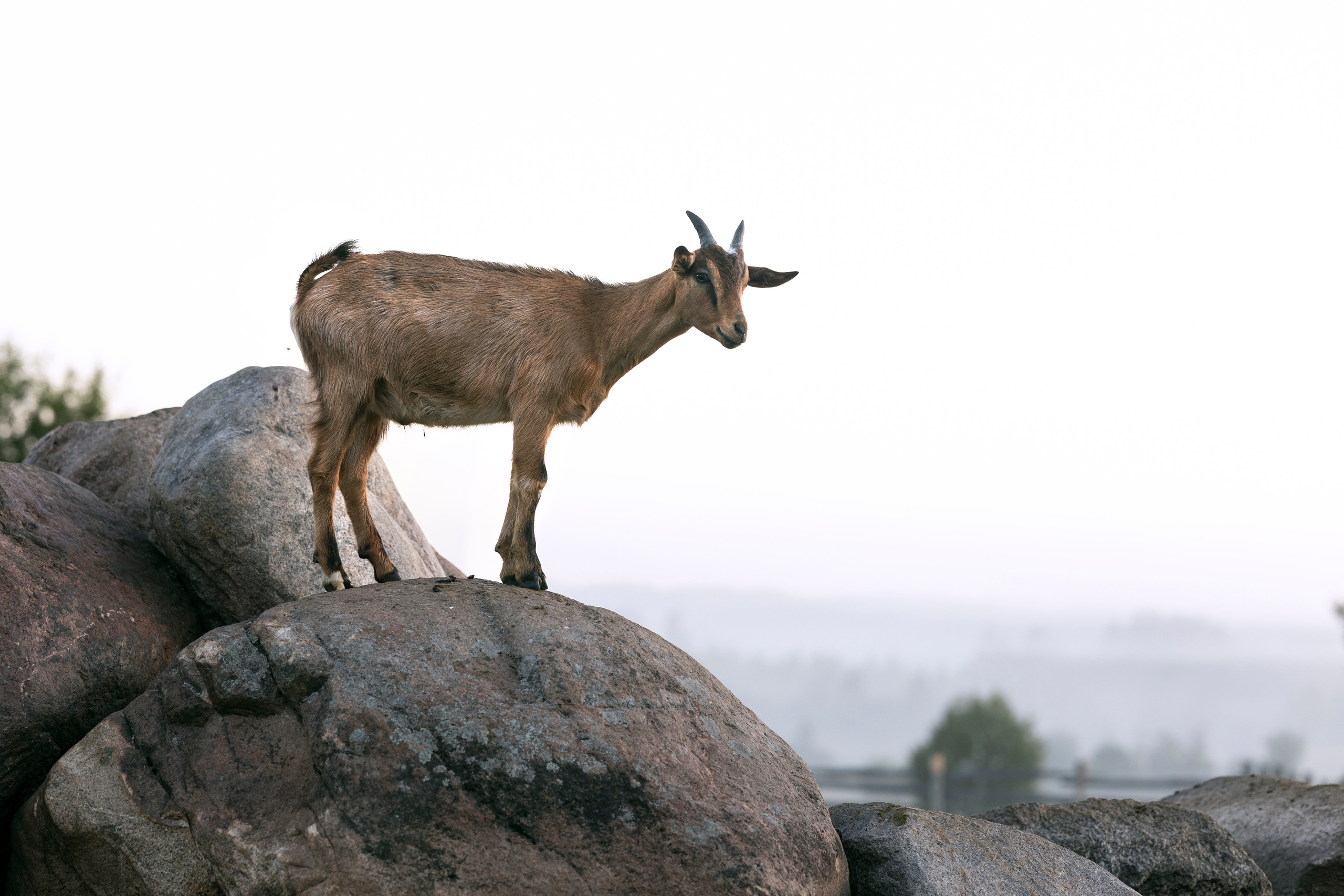 д. Кузнецово, Ярославская область, 17.08.2023