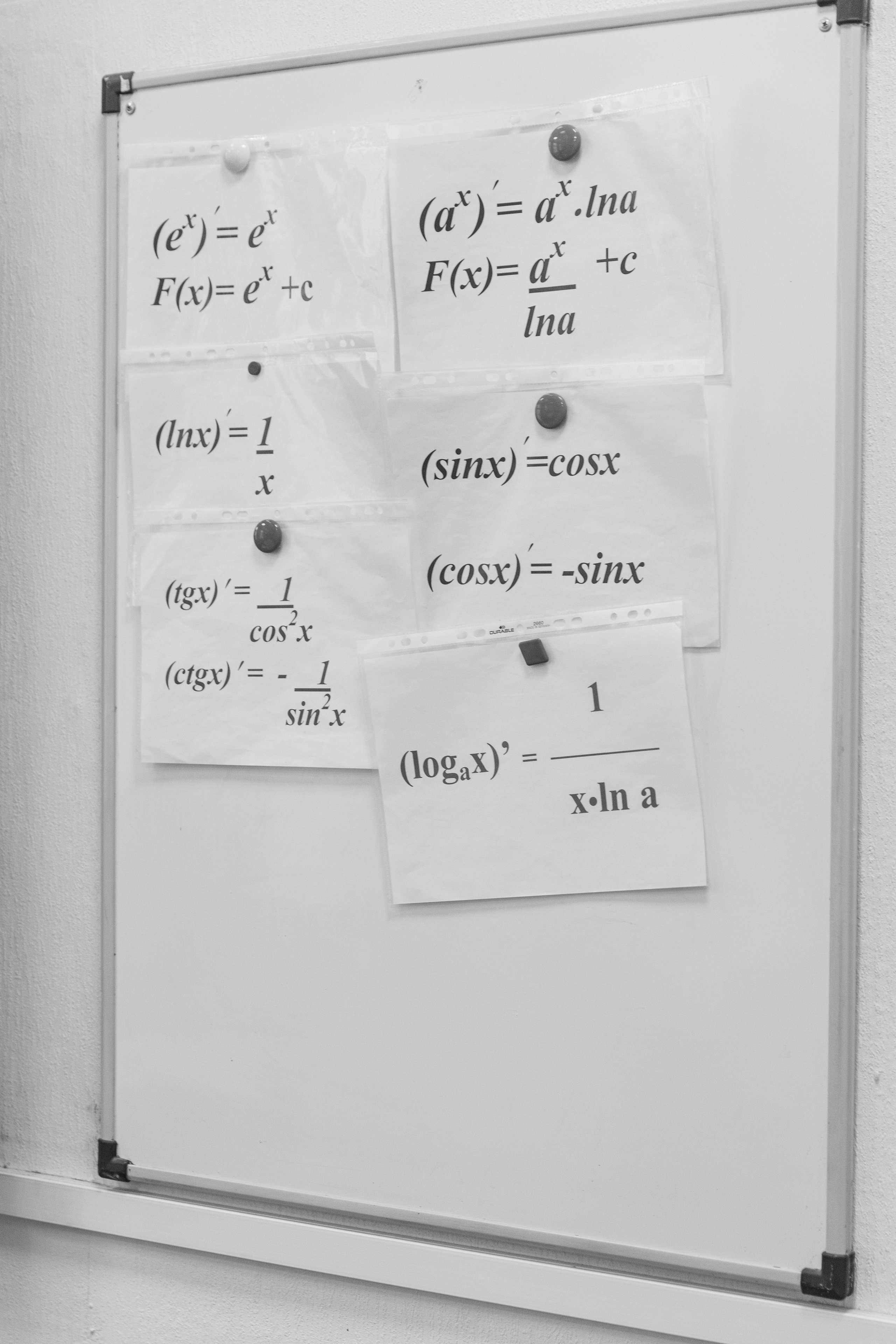 Репортаж с урока. Школьный фотограф в Москве Семенова Ирина