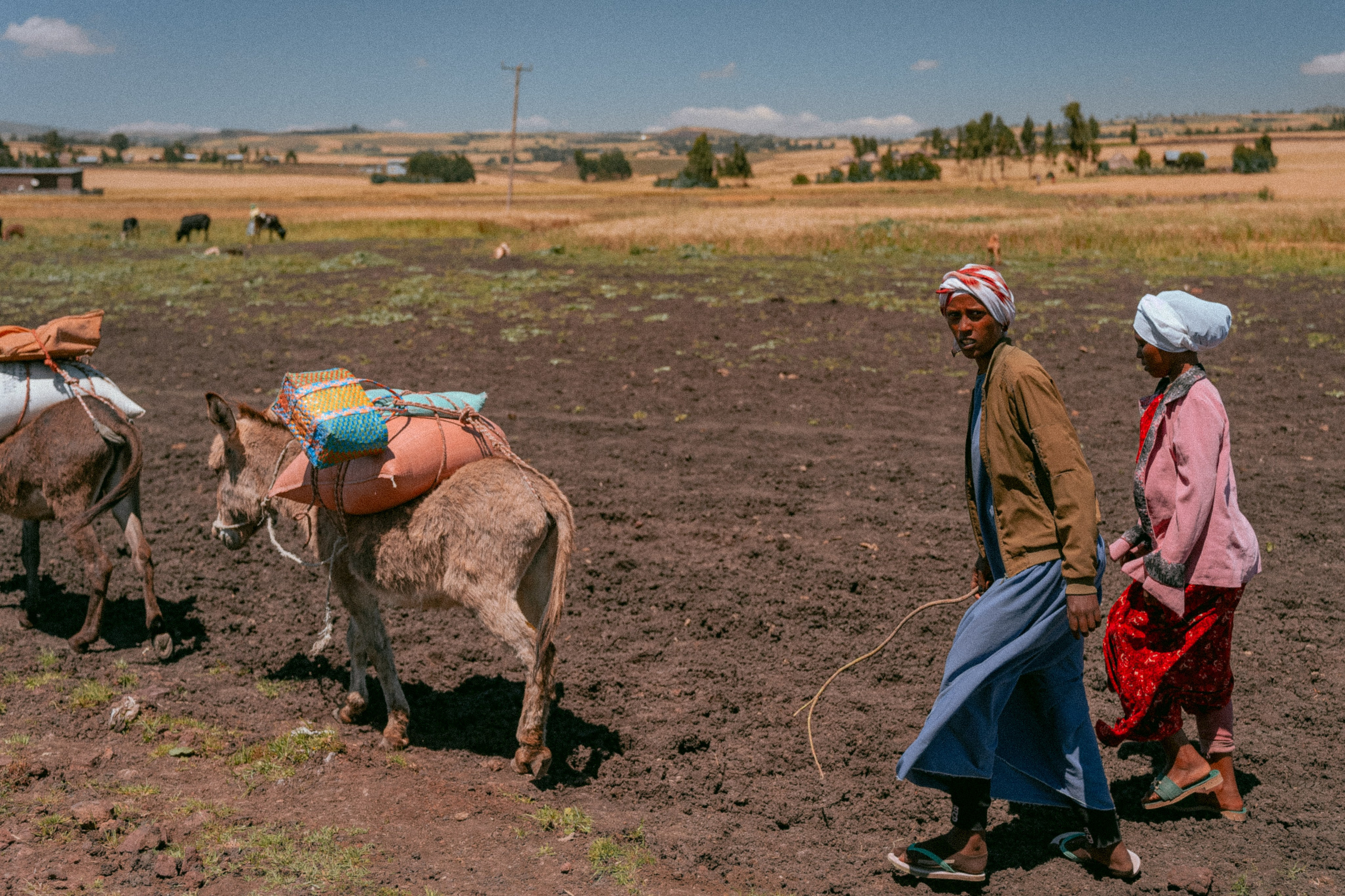 Женщины гонят скот в Эфиопии