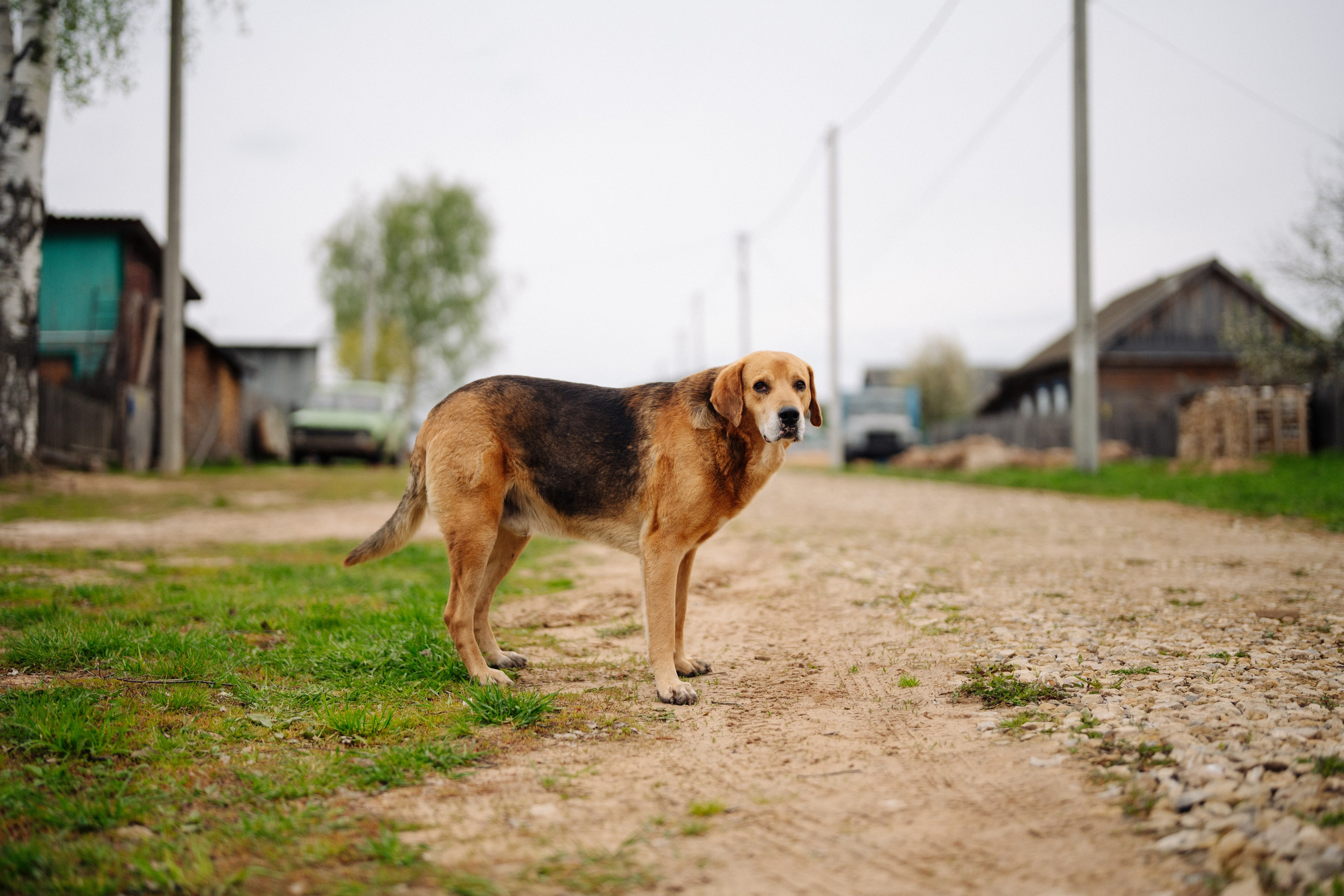 Сюжет № 7|Вопреки привычному