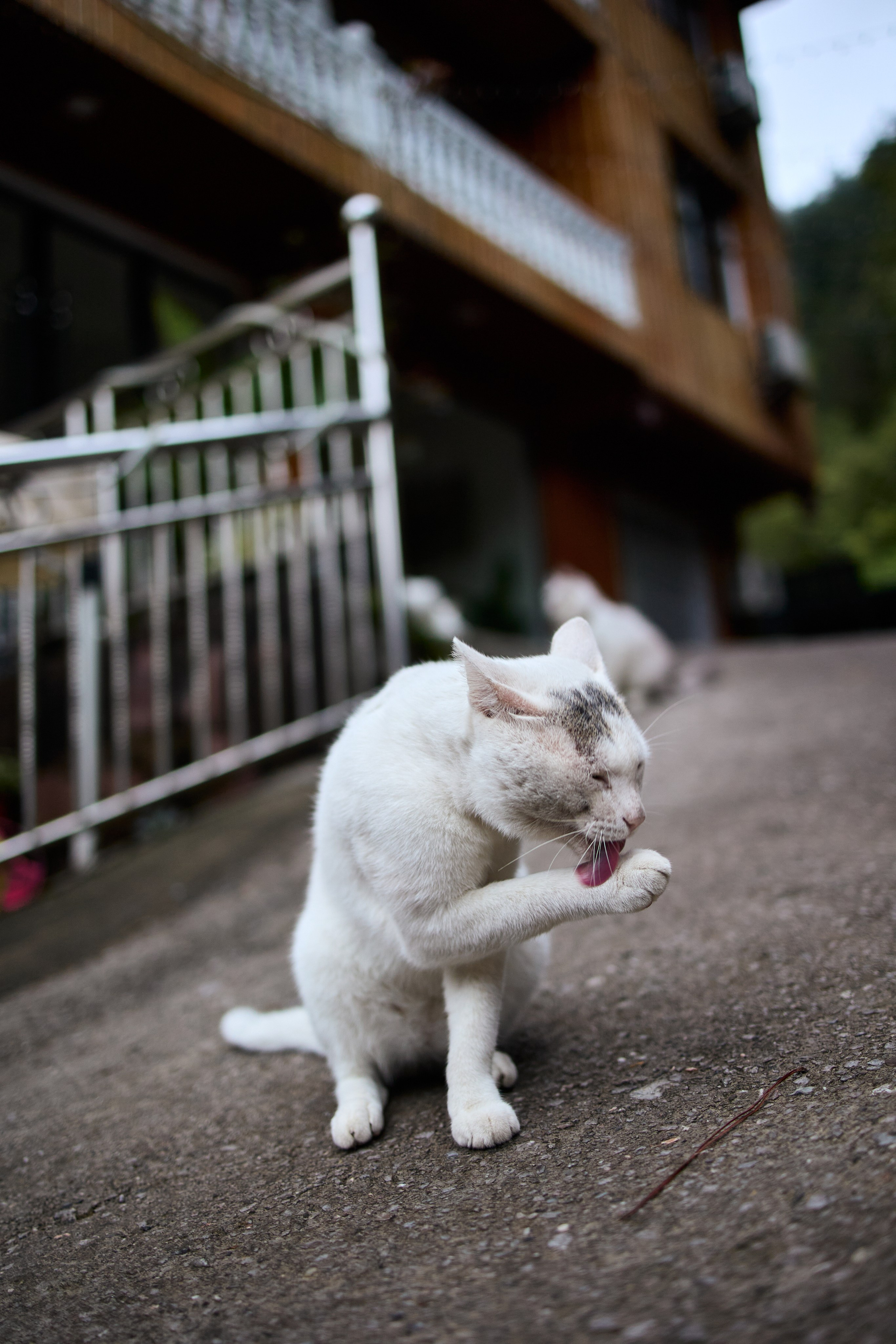 Китай. Хороший репортажный и промышленный фотограф в Казани Алексей Щелконогов