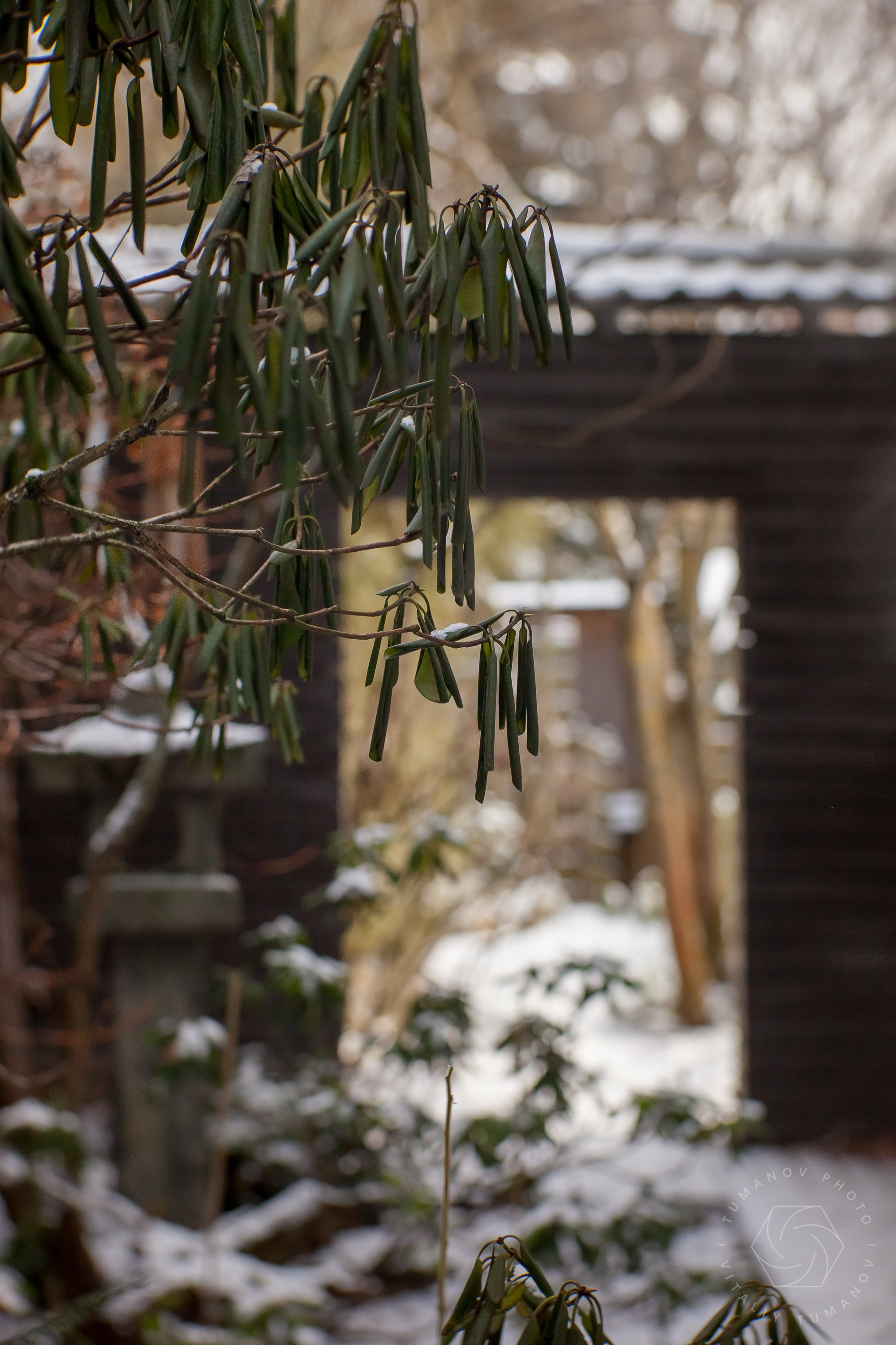 ОДНИМ СОЛНЕЧНЫМ ЗИМНИМ ДНЁМ!. Виталий Туманов — Ландшафтный фотограф