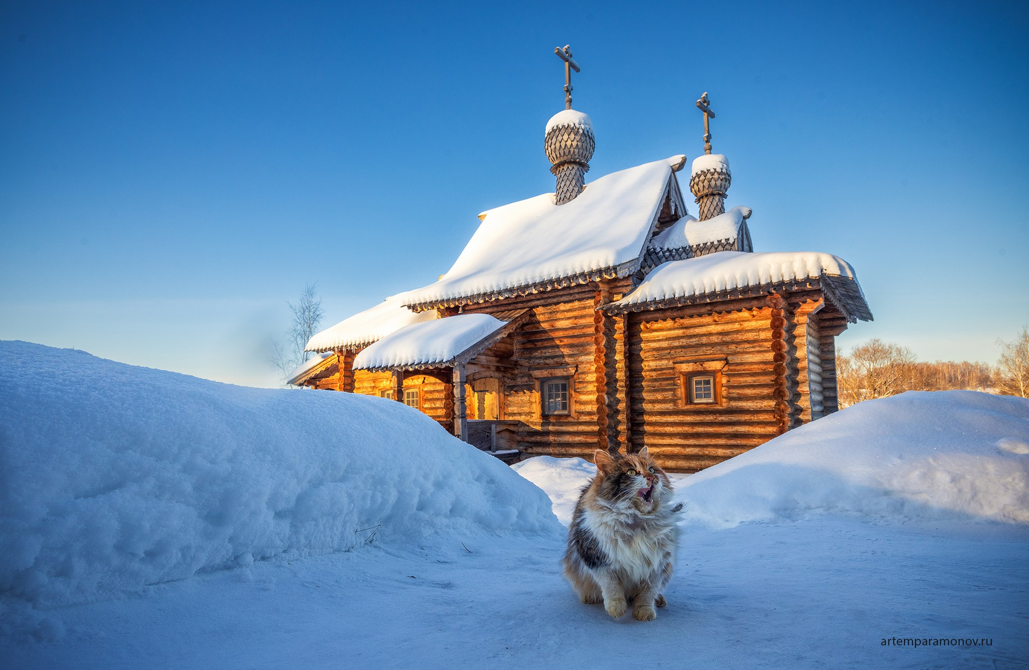 Фотохудожник Артём Парамонов