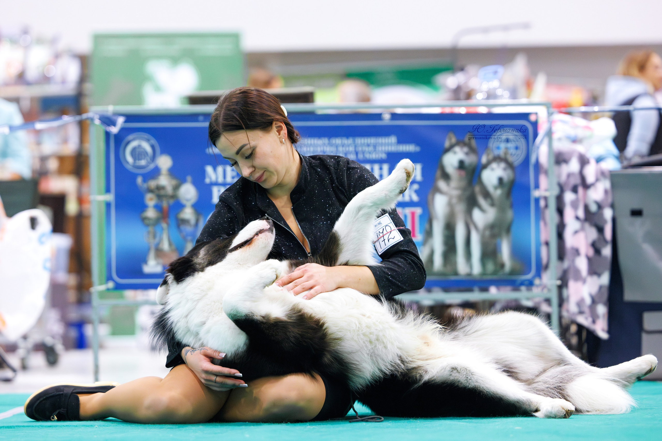 Минск 23.11.2024. Фотограф-анималист Юлия Германика