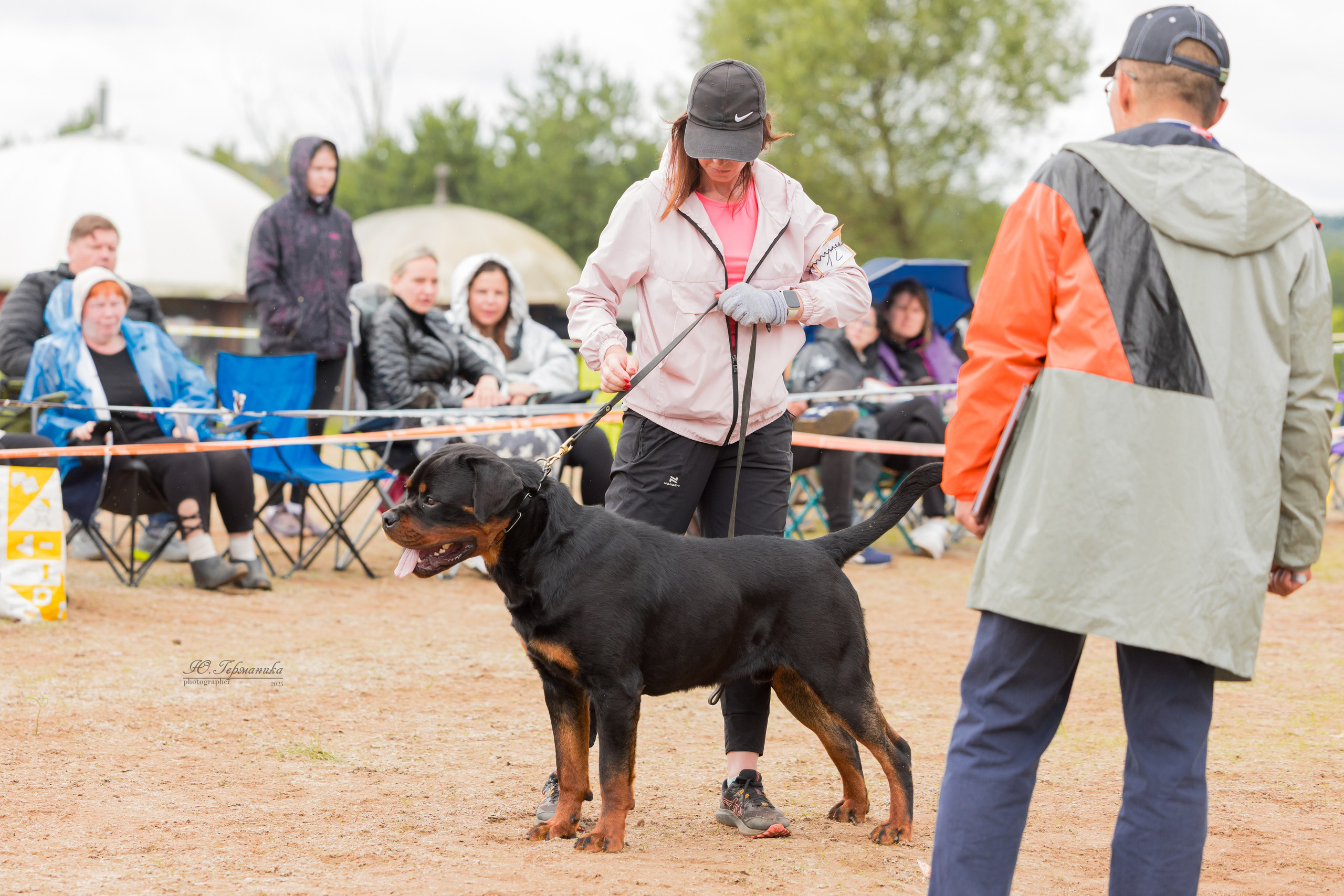 Тверь ротвейлеры 5-6.07.2025. Фотограф-анималист Юлия Германика