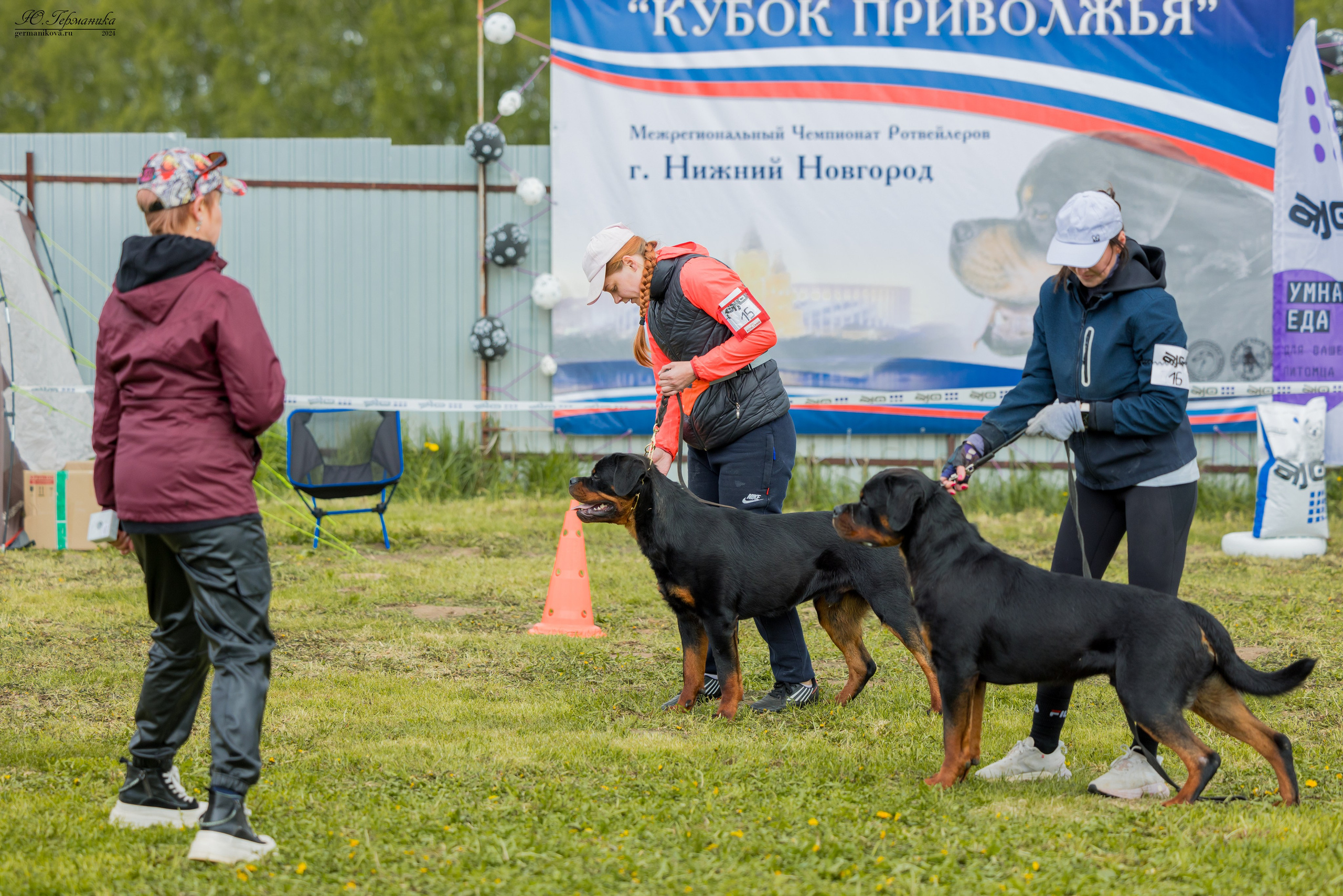 Нижний Новгород 11-12.05.2024 моно ротвейлеров. Фотограф-анималист Юлия Германика