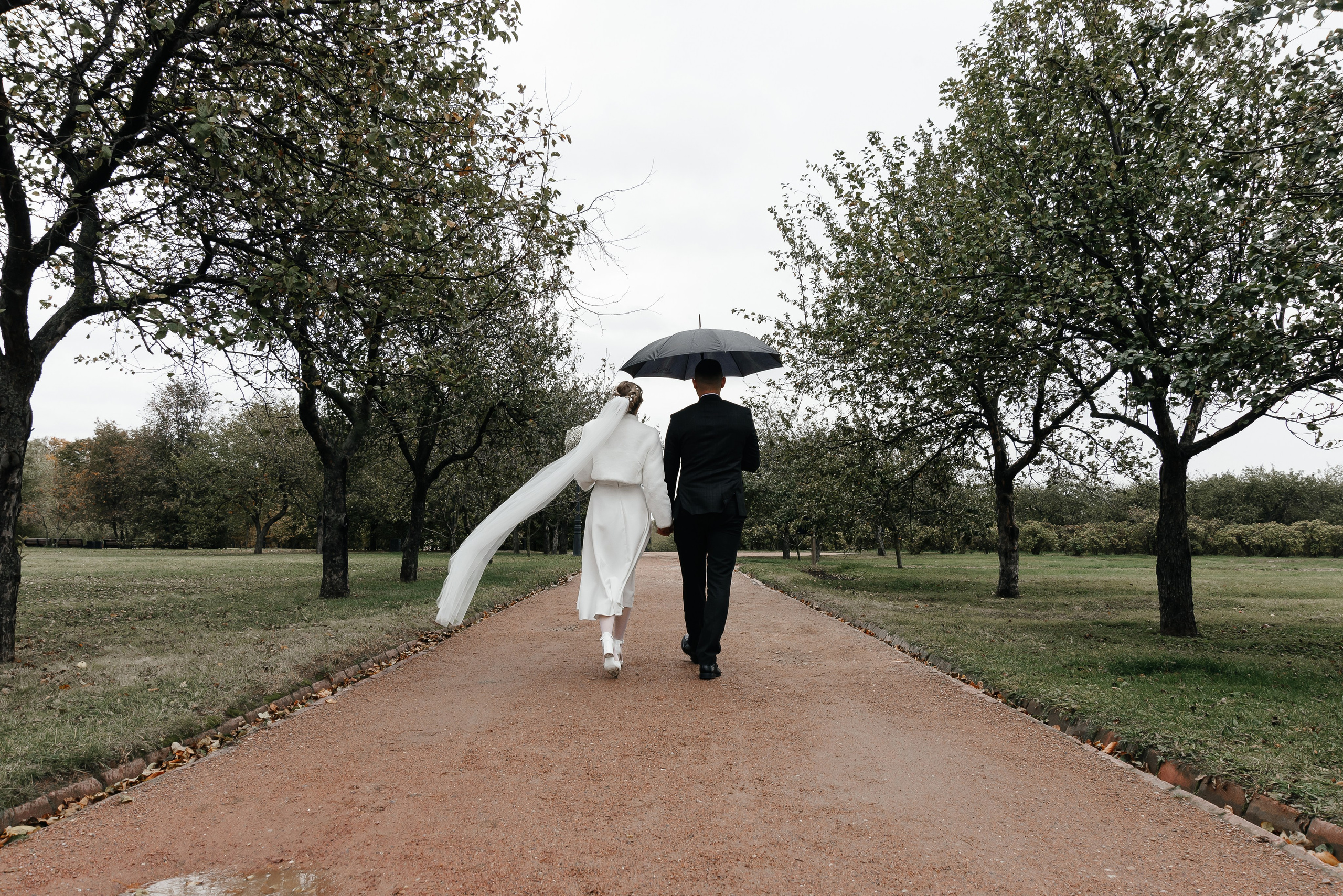 Свадьба. Свадебный фотограф Сергей Глобенко