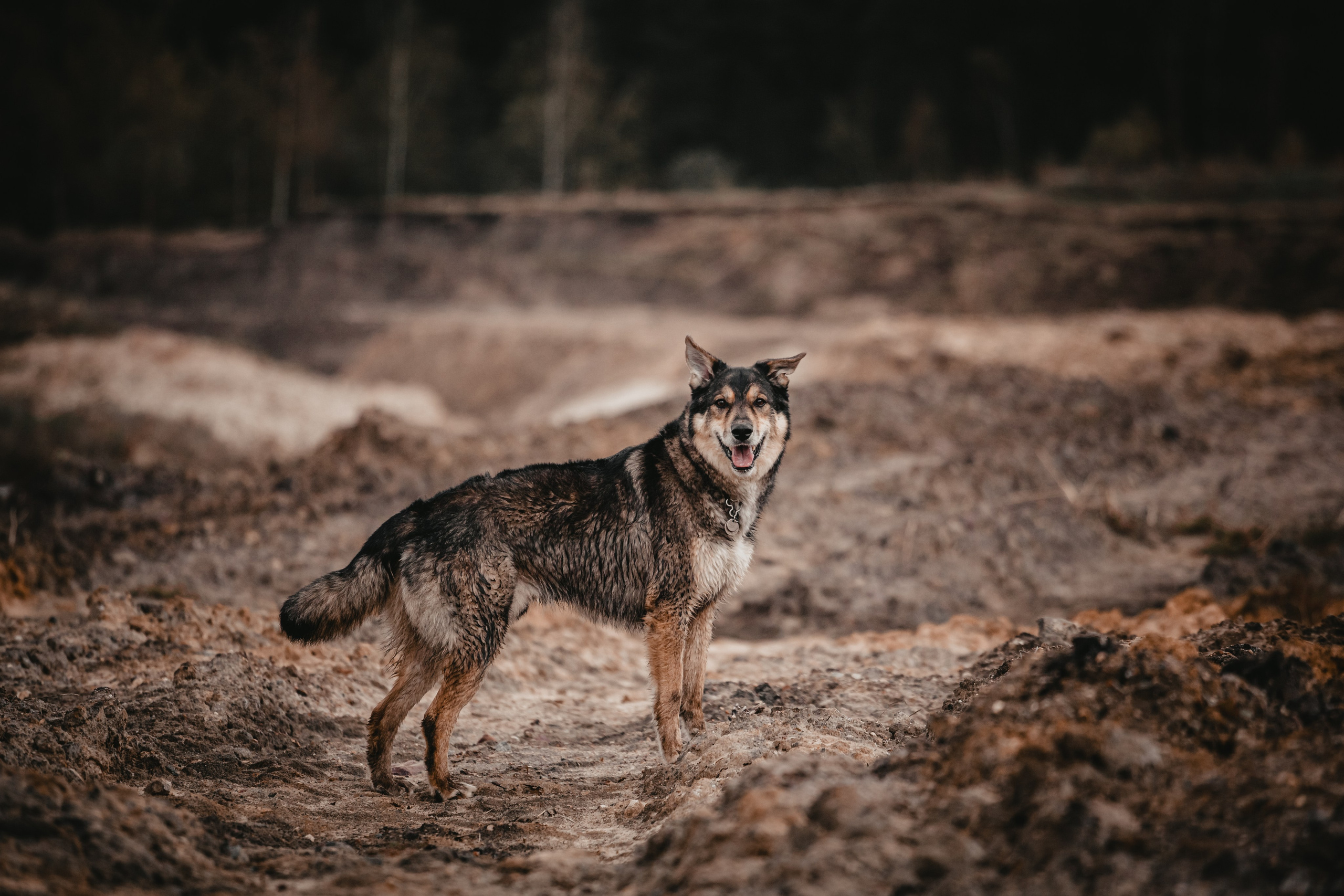 Фотограф-анималист Татьяна Степанова
