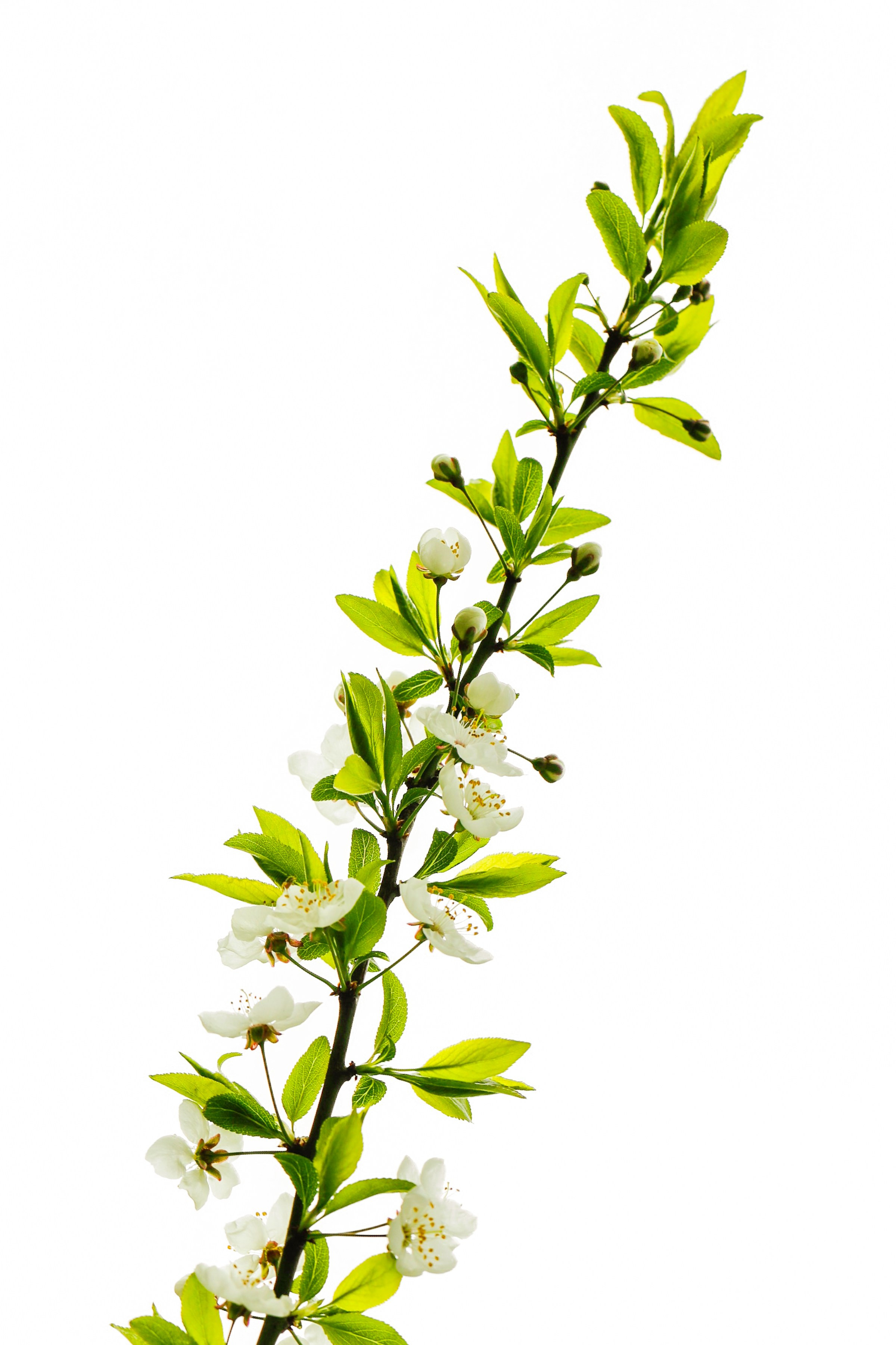 Эксперименты. Фотосессии и репортаж — Фотограф в Москве — Рина Серёгина