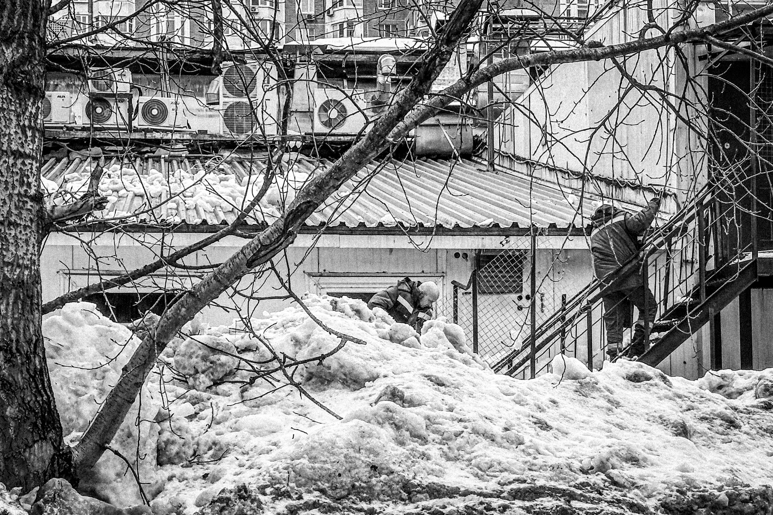 Весна 2026 ЧБ. Фотограф в Москве — Рина Серёгина