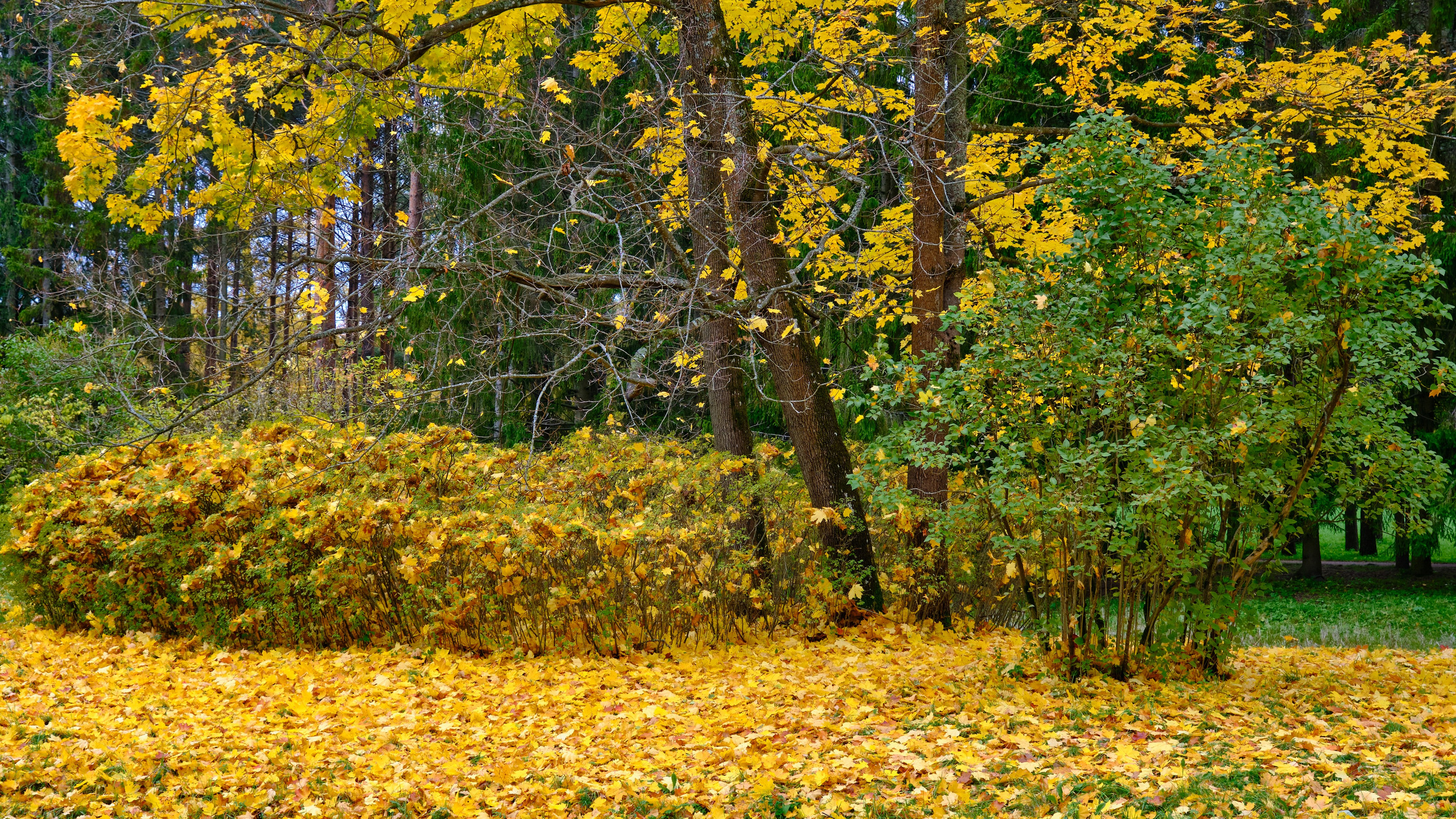 Времена года. Пейзажи Крайнего Севера. Баренцево море, Рыбачий, Средний, Немецкий