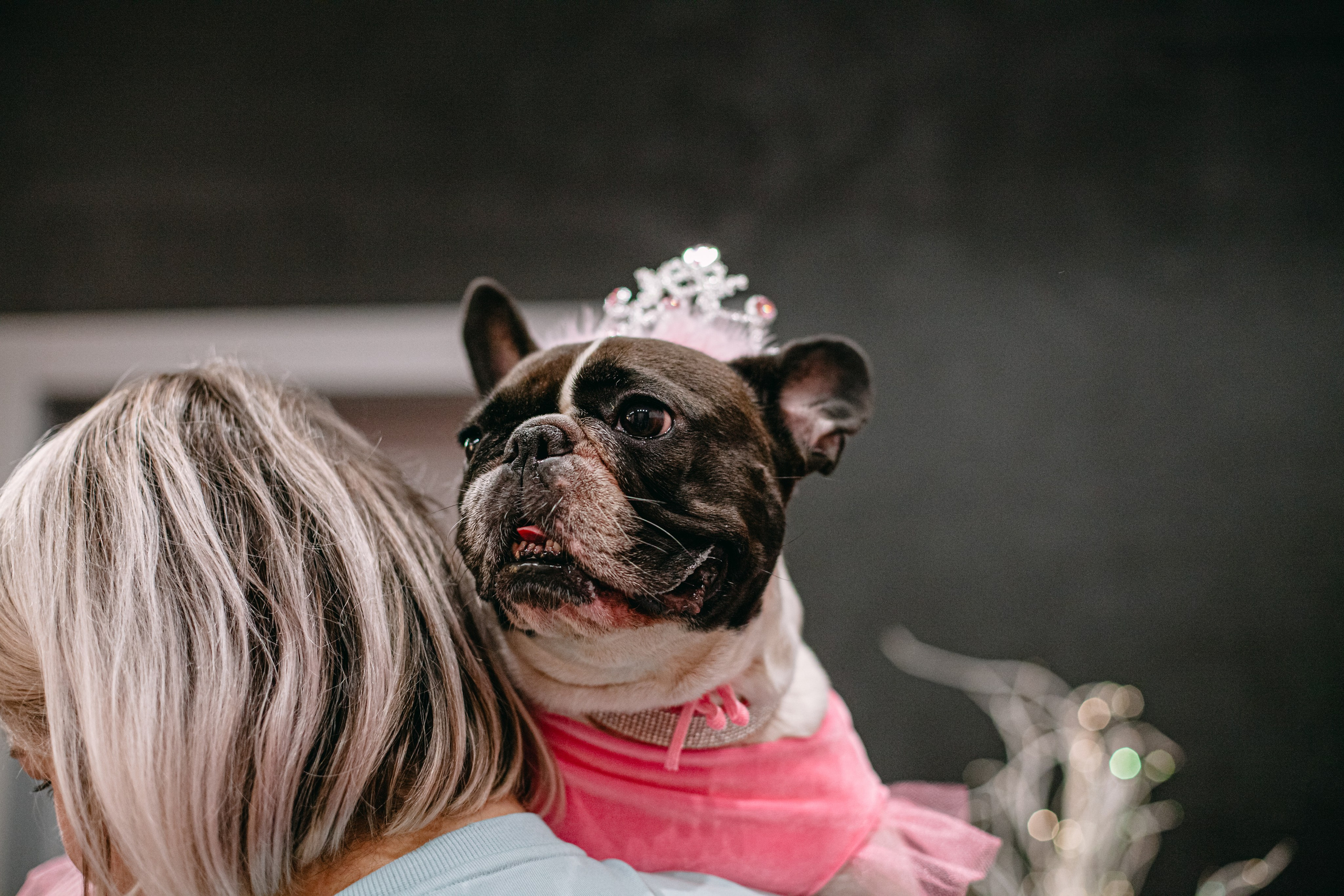 Бульёлка 2024. Фотограф-анималист Татьяна Степанова