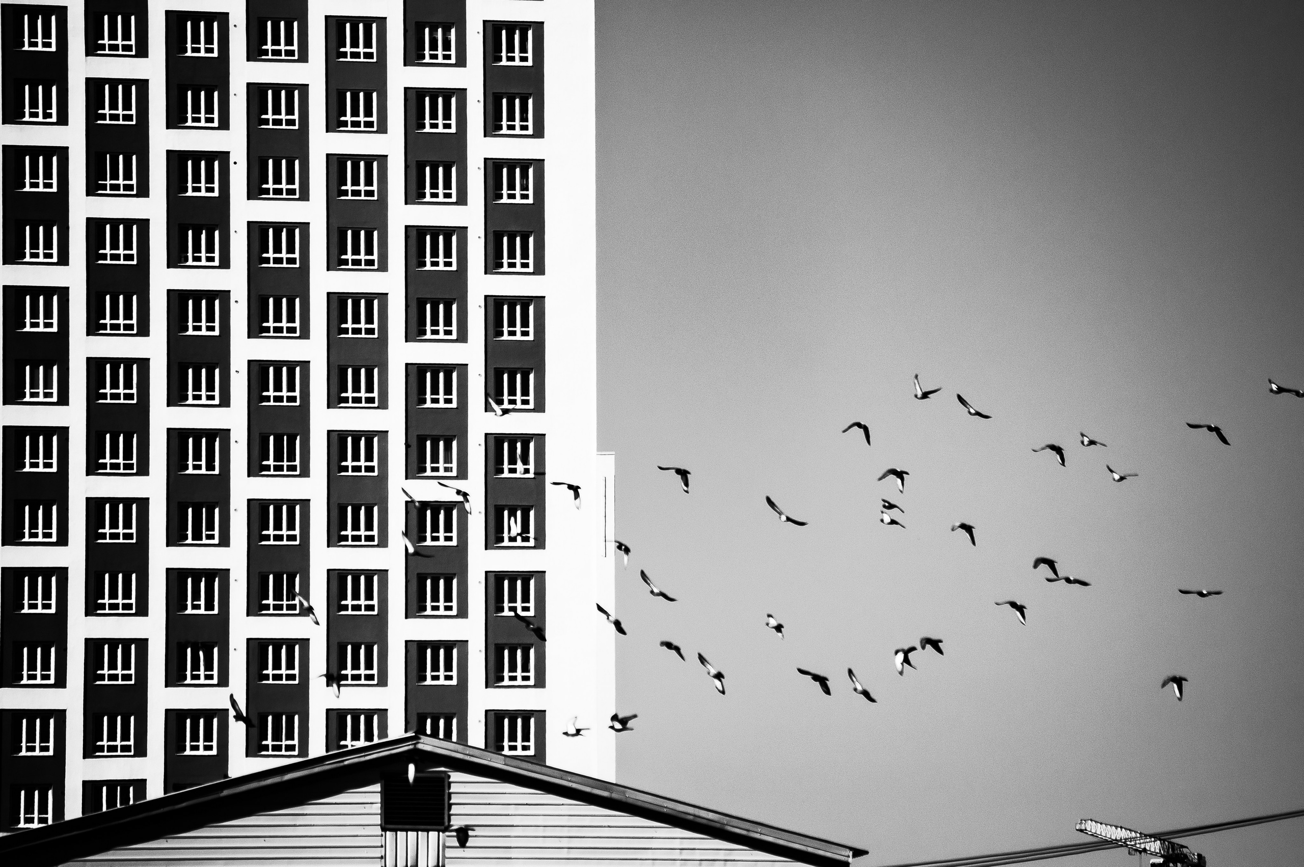 Город Е в BW. Место {не}банальных фото