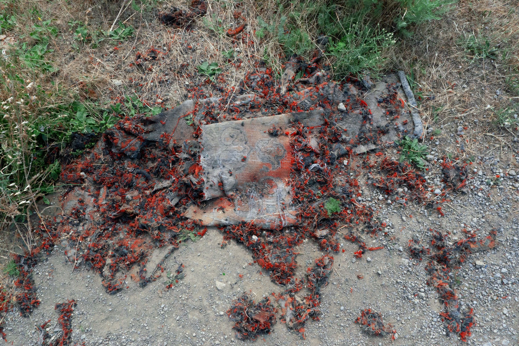 Second horseman. Alexander Zorin