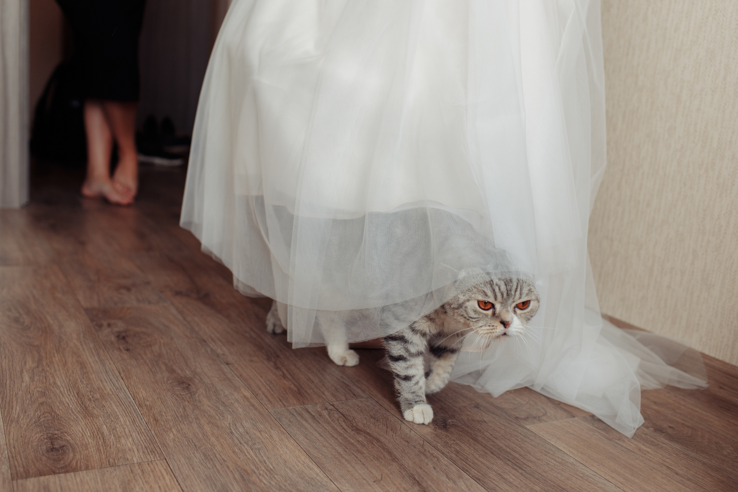 Сборы с друзьями и прогулка в кофейне. Миша & Маша. Фотограф Чугунов Александр