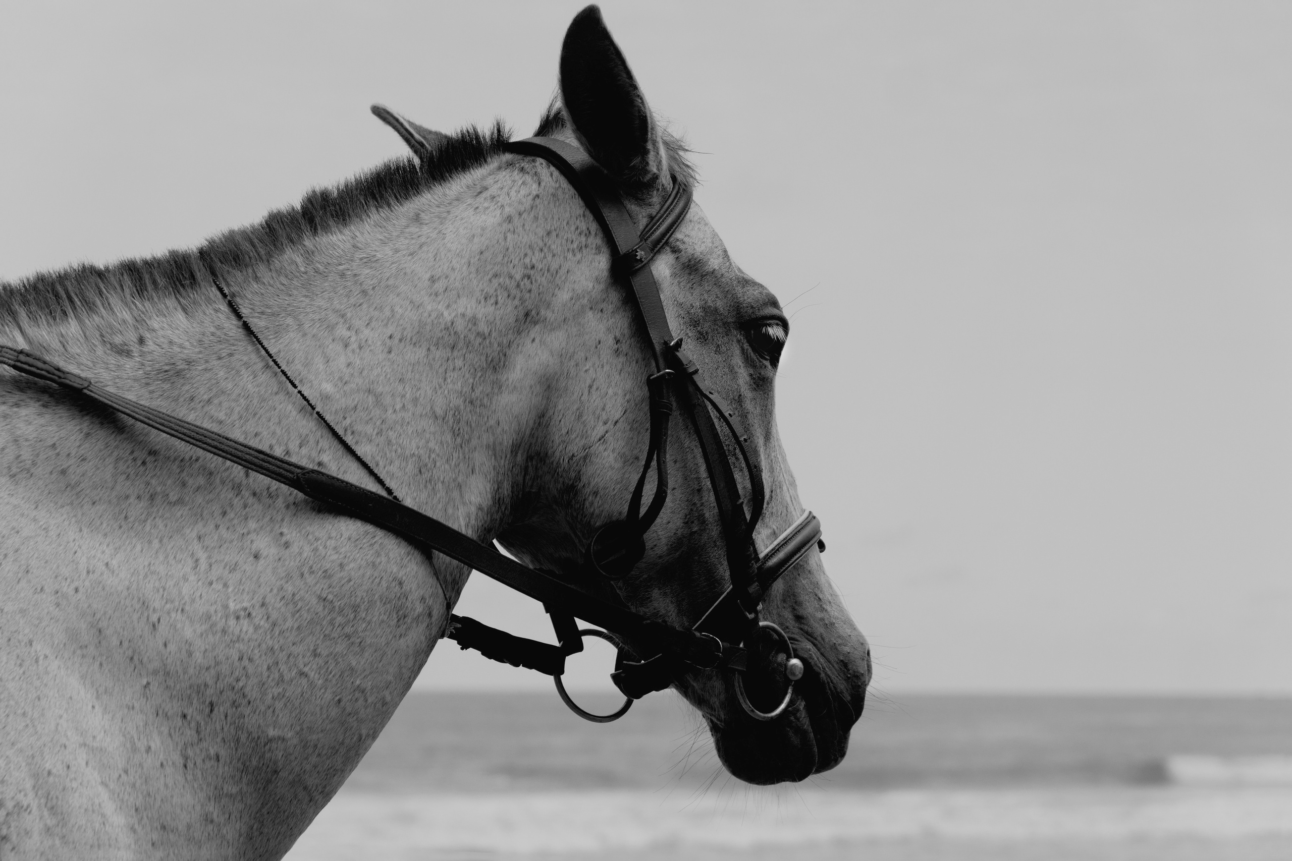 Beach-vibe. Портретный фотограф в Смоленске и Москве Мария Громова