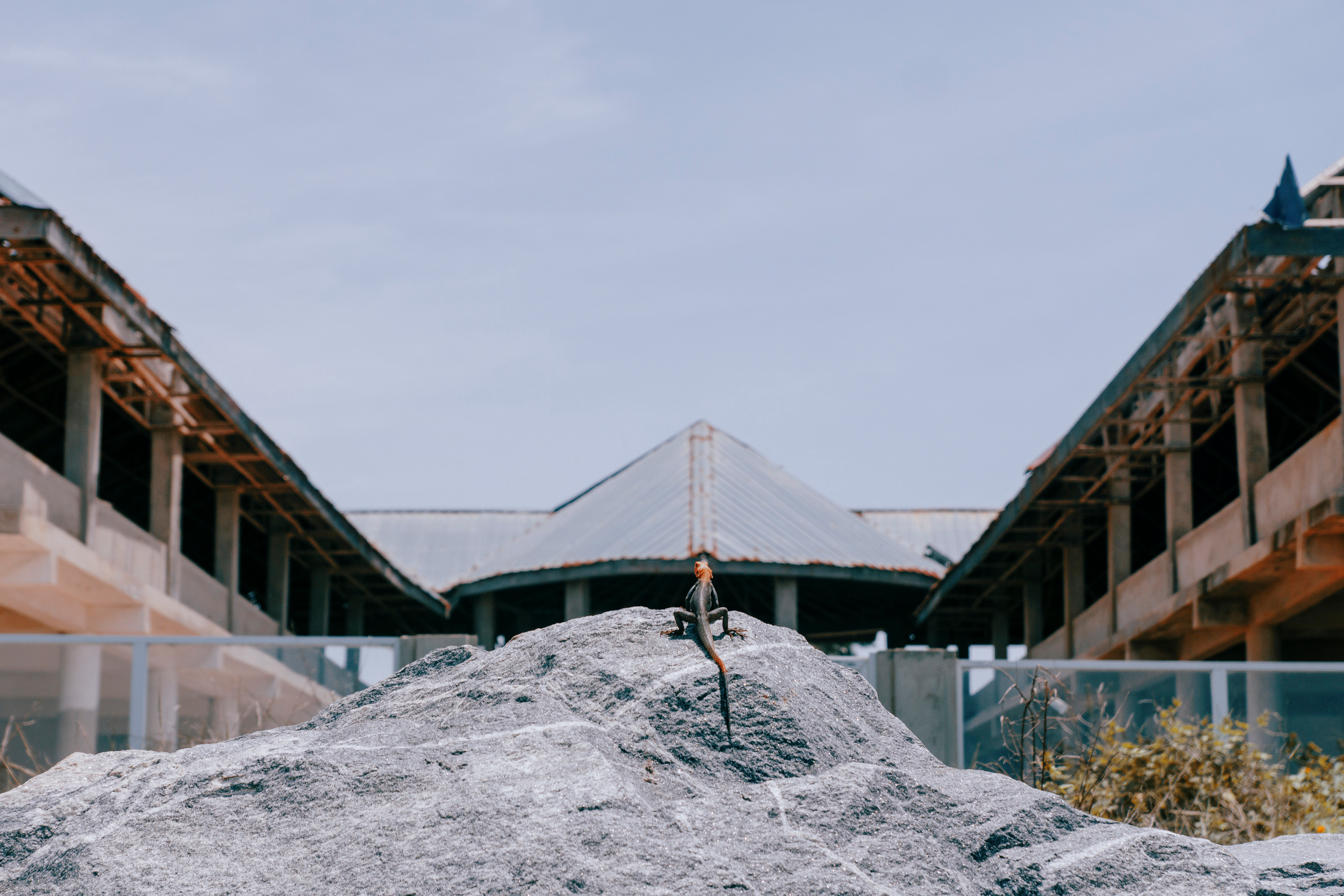 Beach-vibe. Портретный фотограф в Смоленске и Москве Мария Громова