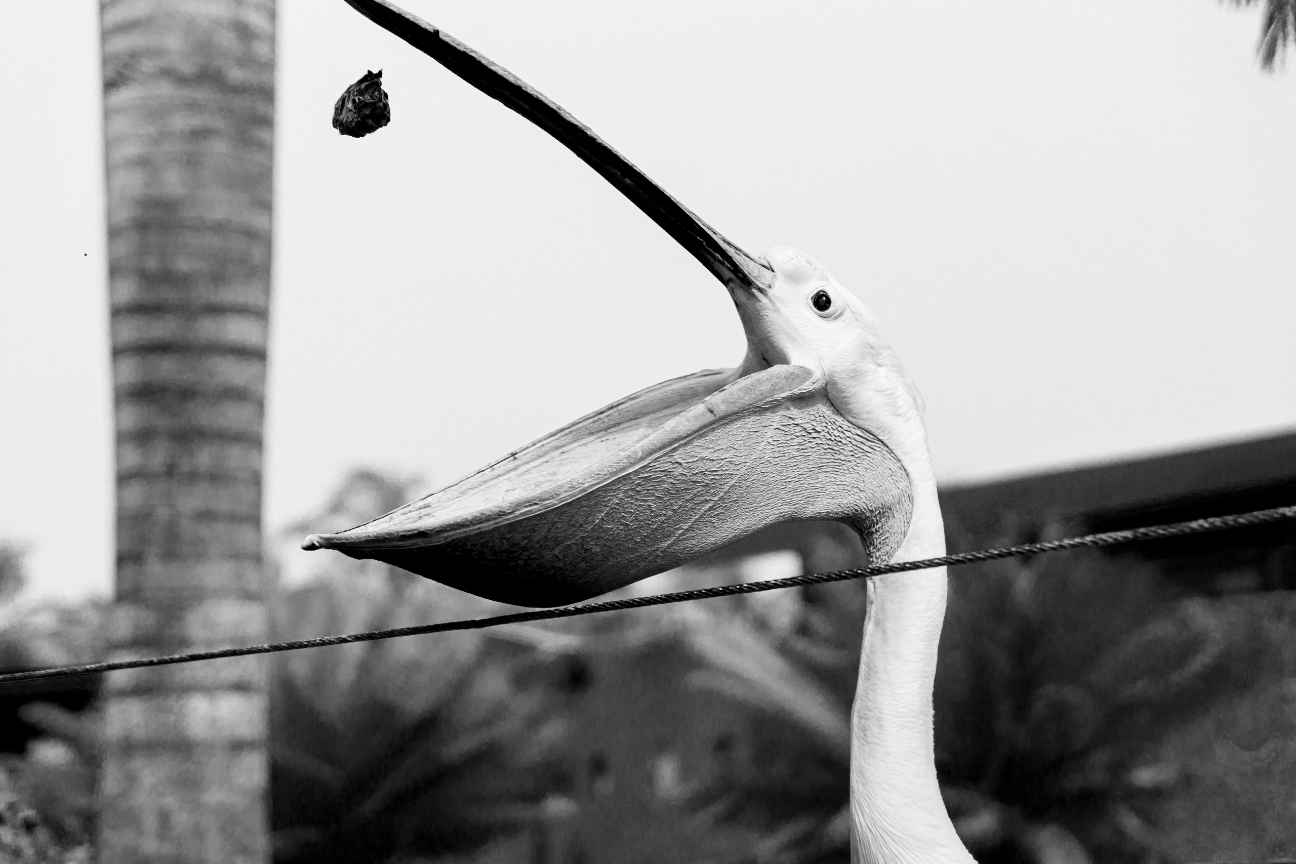 Beach-vibe. Портретный фотограф в Смоленске и Москве Мария Громова