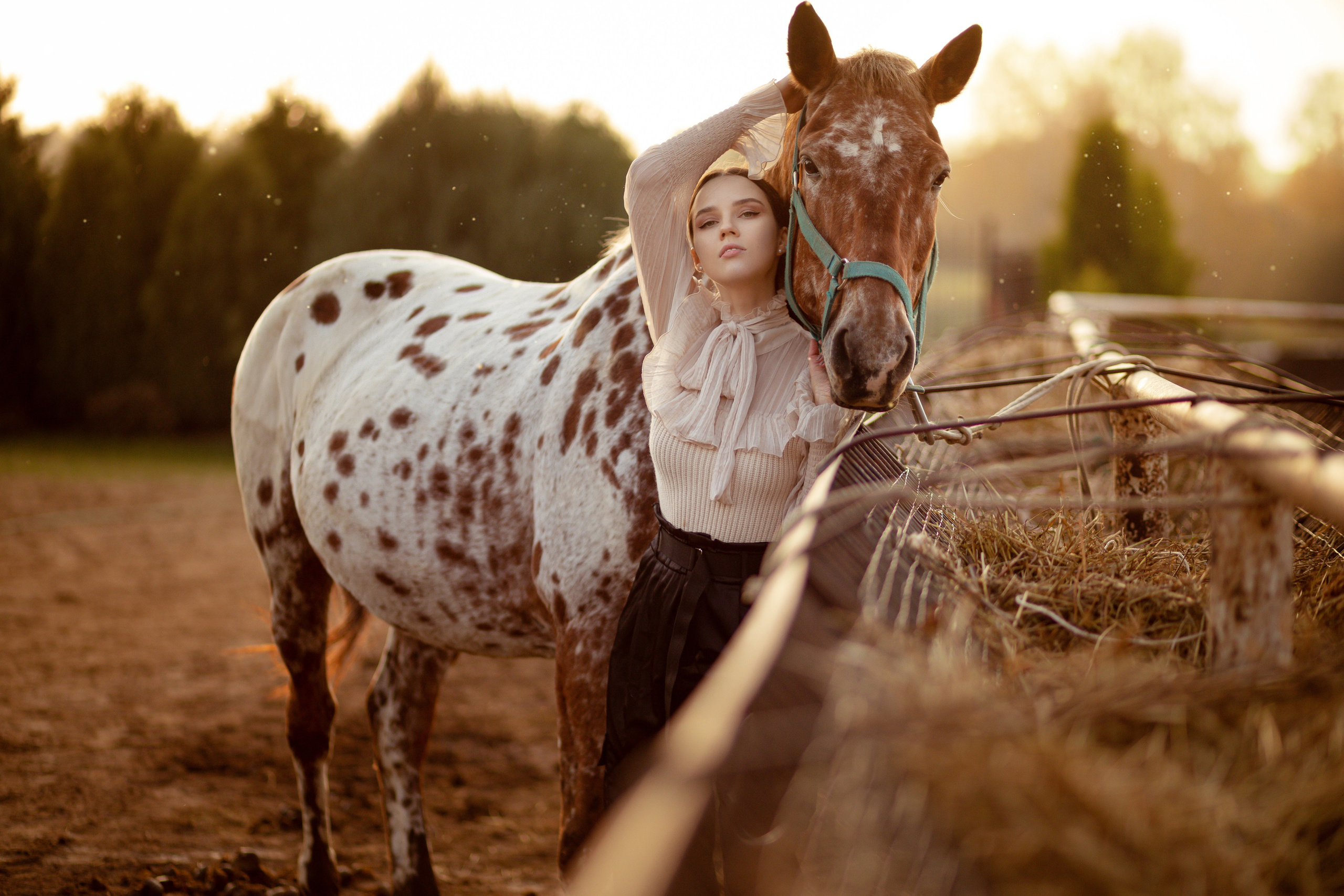 Девушка обнимает лошадь на лугу.