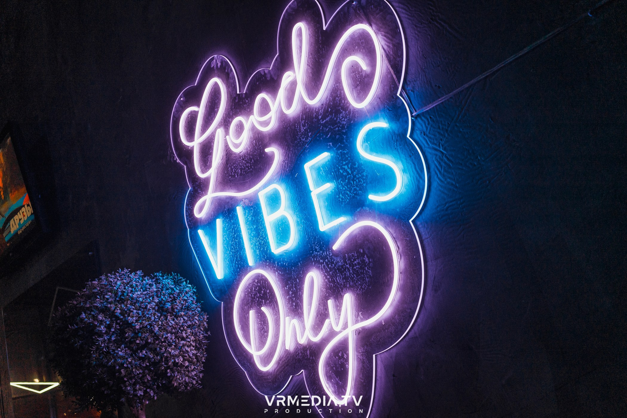 Бумажный дом в баре «Друзья»