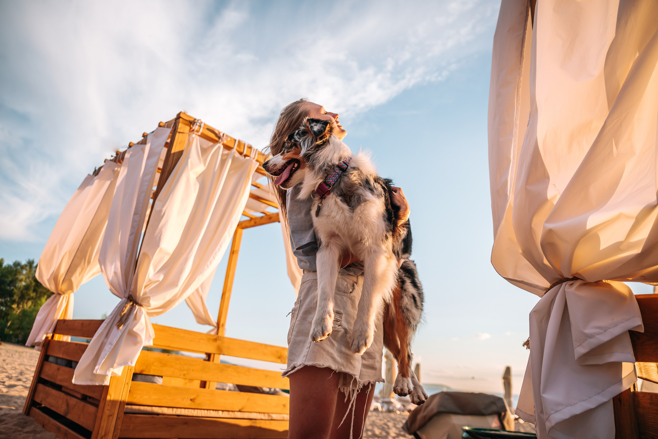 No Bad Days. Главная