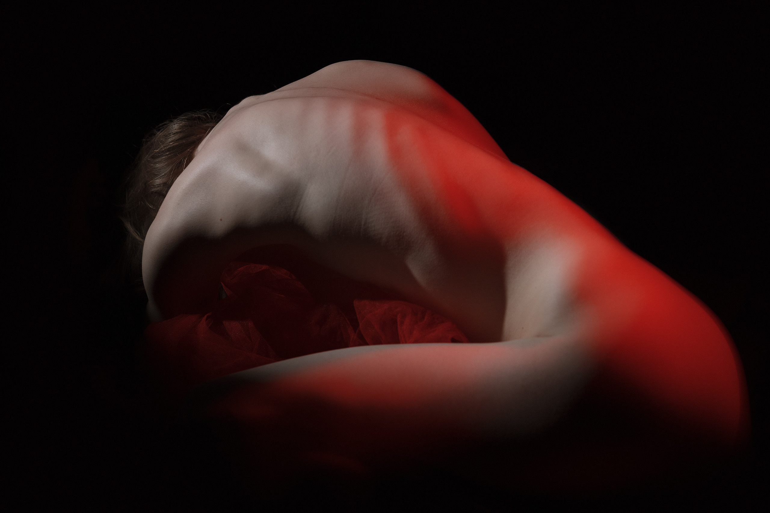 Nude. Gallery of aesthetics