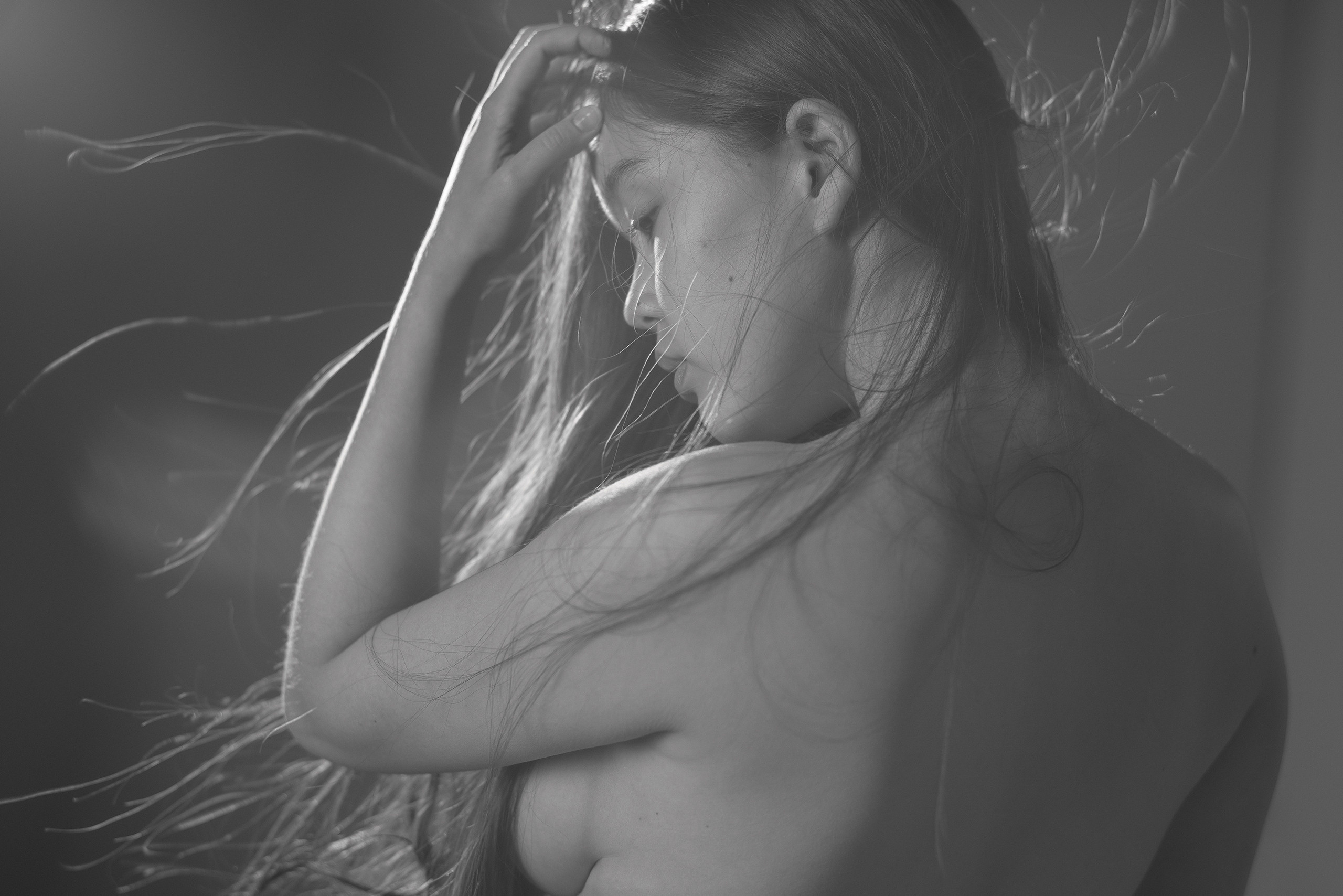 Gallery of aesthetics