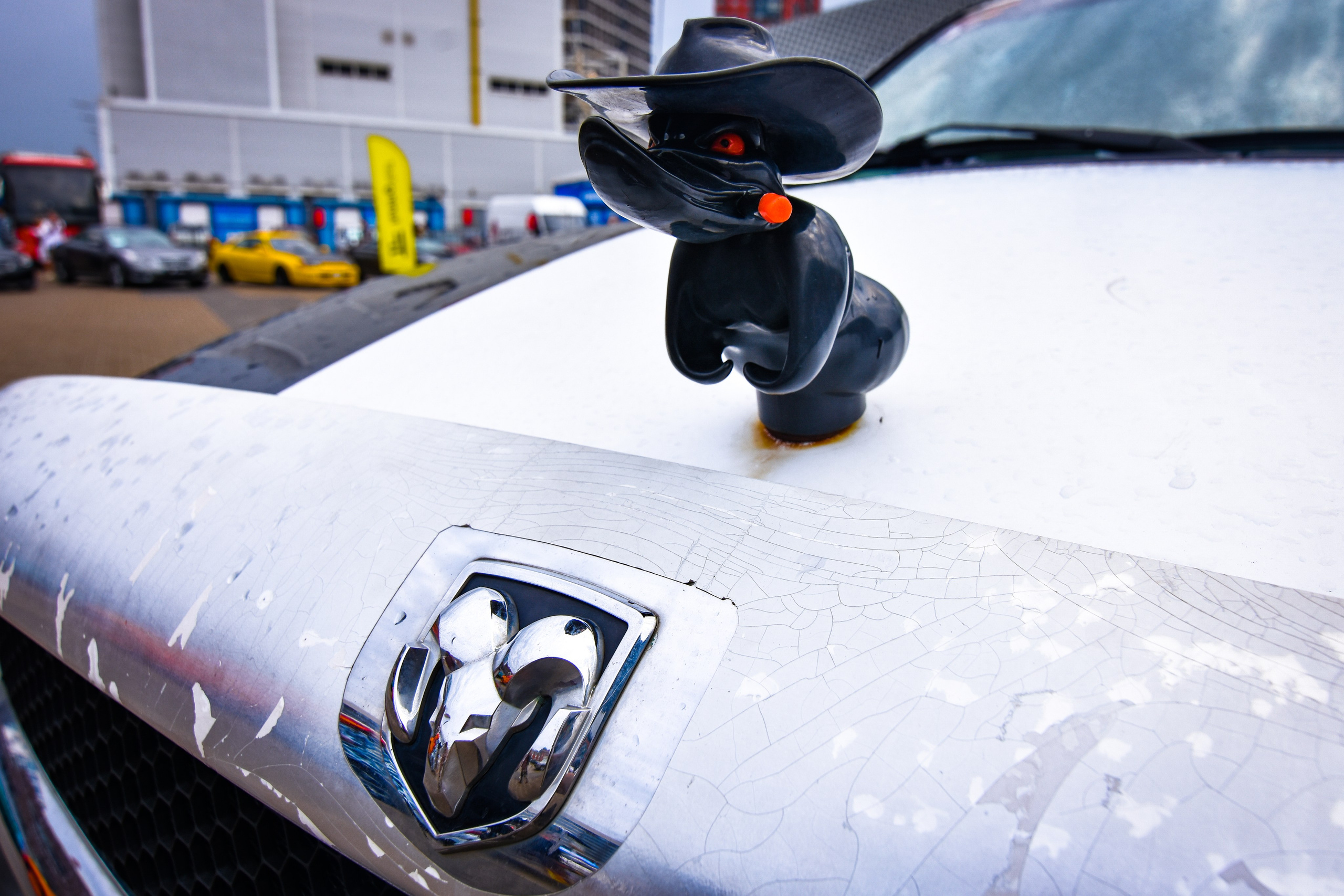 Tuning Fest — 17.08.2024. AlexFecto — галереи фотографий