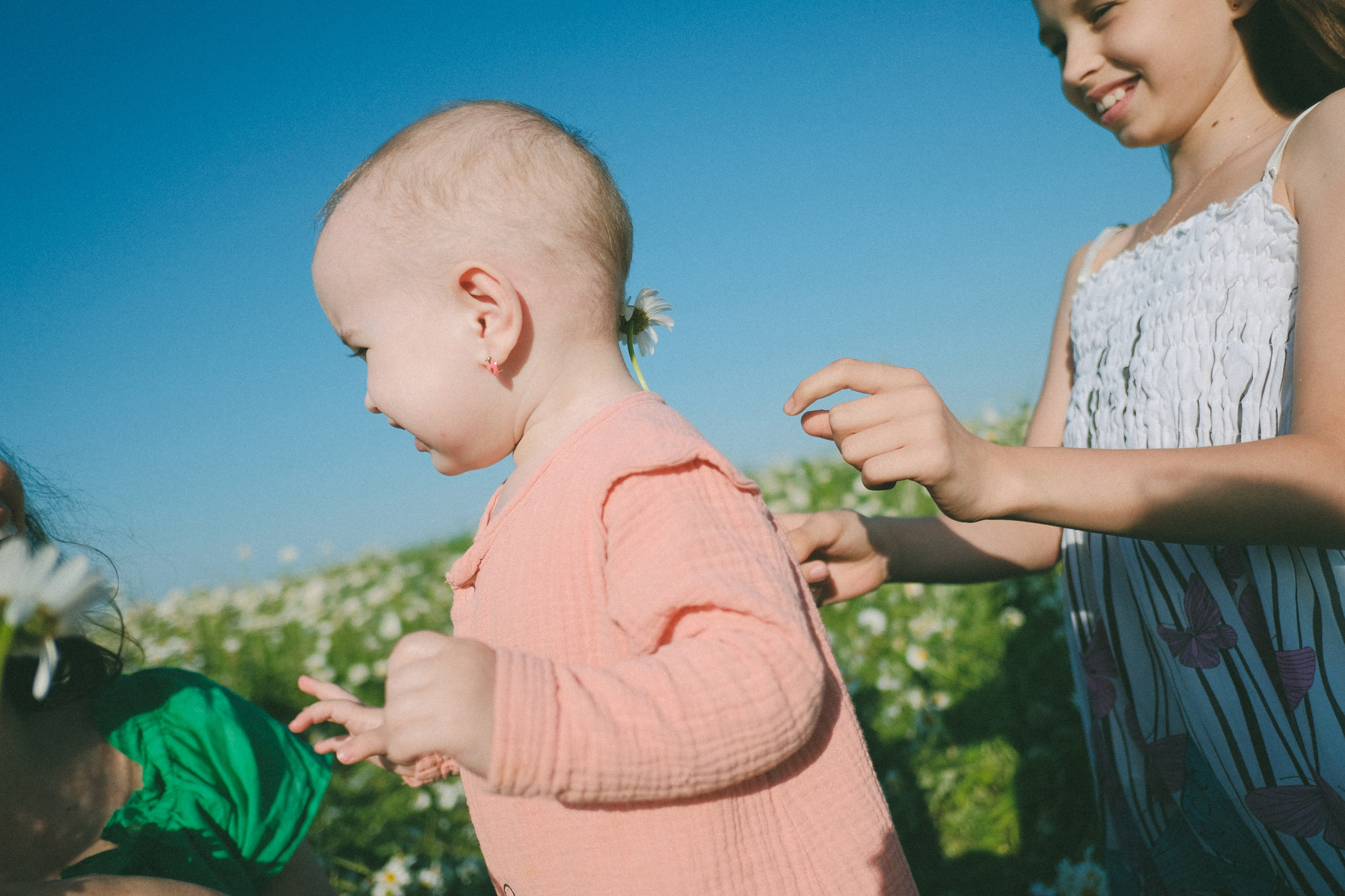 Ждановы в ромашках. Женский и семейный фотограф в Краснодаре и крае Таня Мустафина